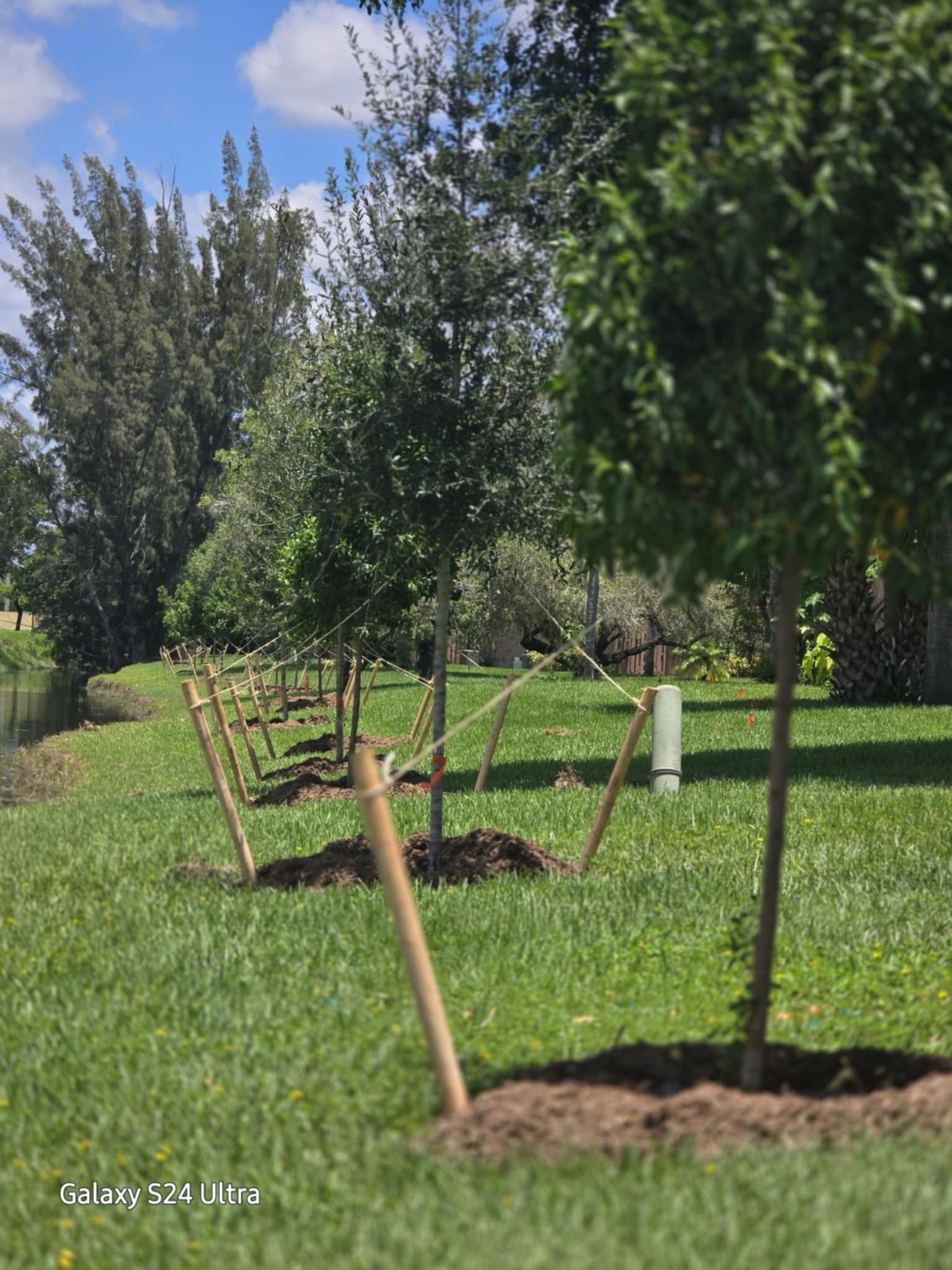  for Bridgewater Arbor Care LLC in Jupiter, FL