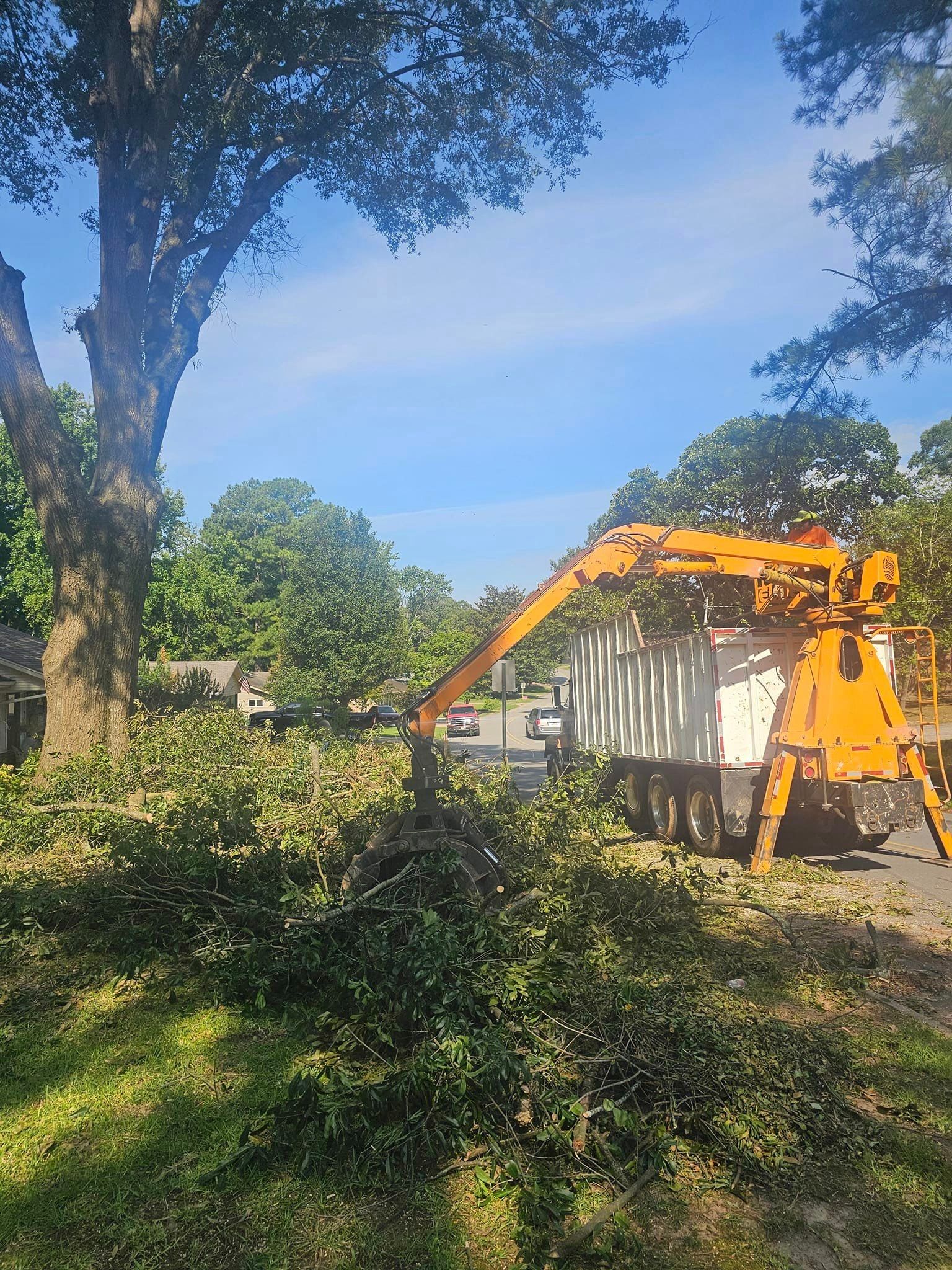  for Millers Tree Service in Saline County, AR