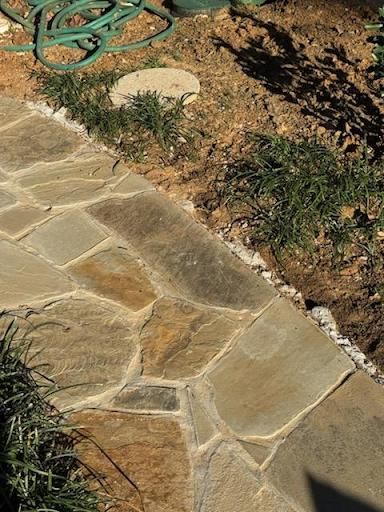  for Rojas Contractors in Fort Worth, TX