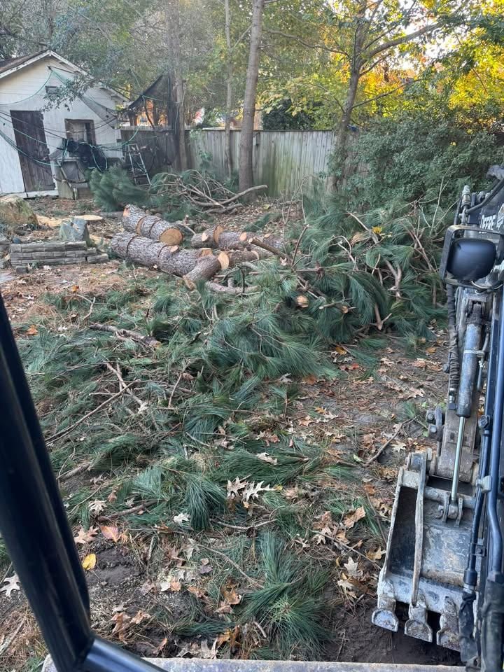 All Photos for Cowboys TREE Company in Chesapeake, VA