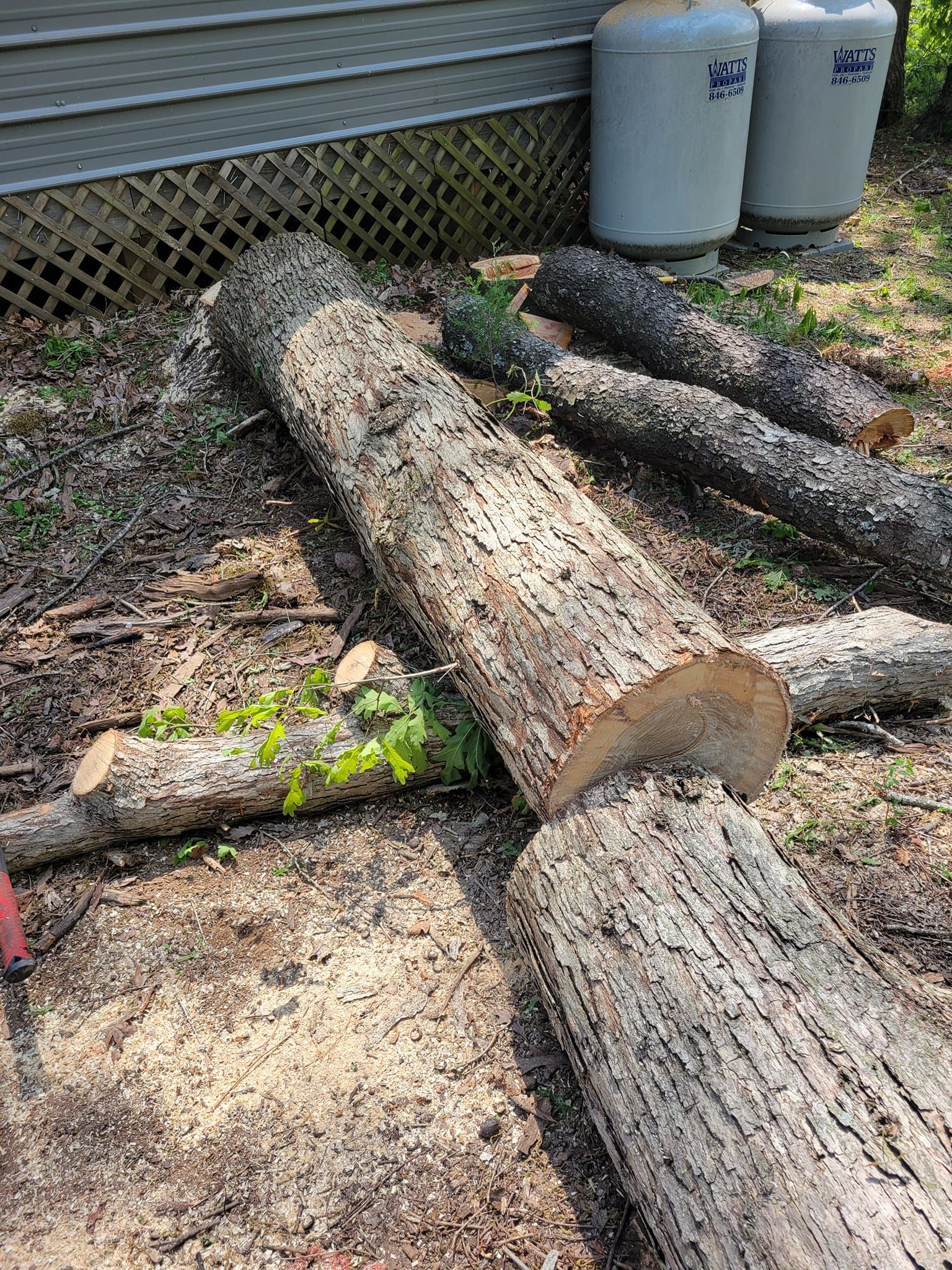  for Red Roosters Tree Services in Bedford, VA
