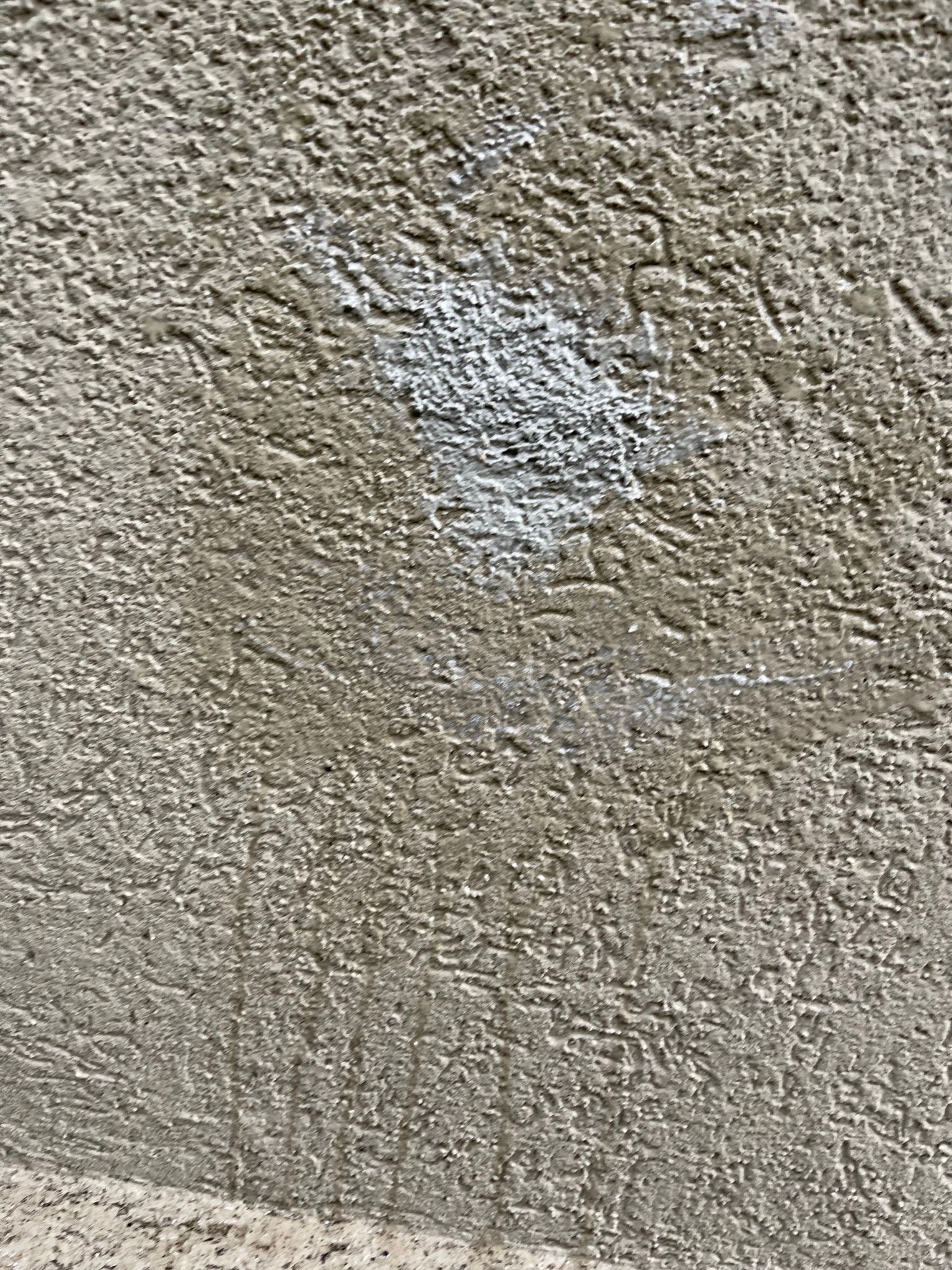  for Tony's Remodeling & Painting in Renton, WA