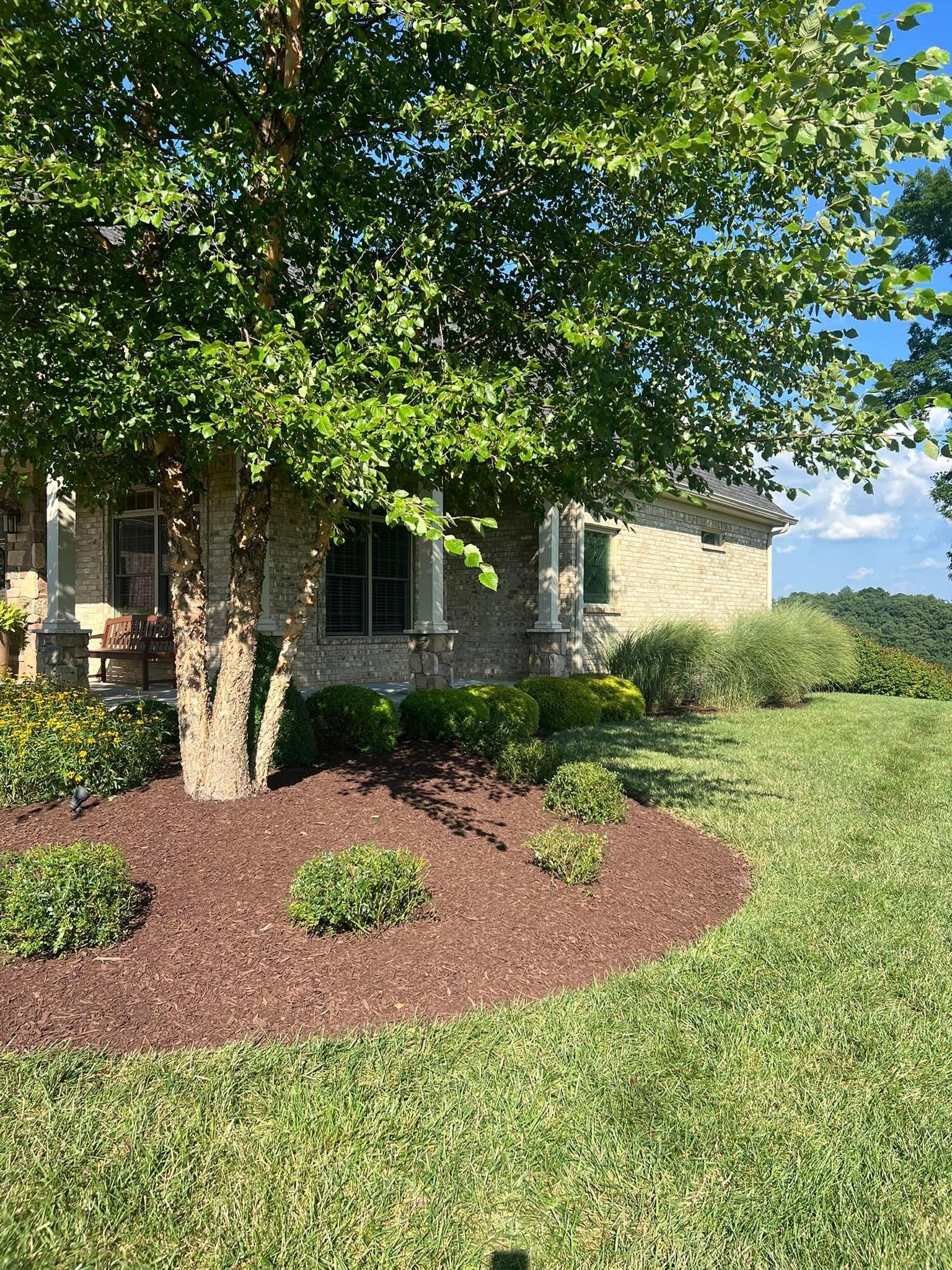  for Full Service Landscaping in Louisville, KY