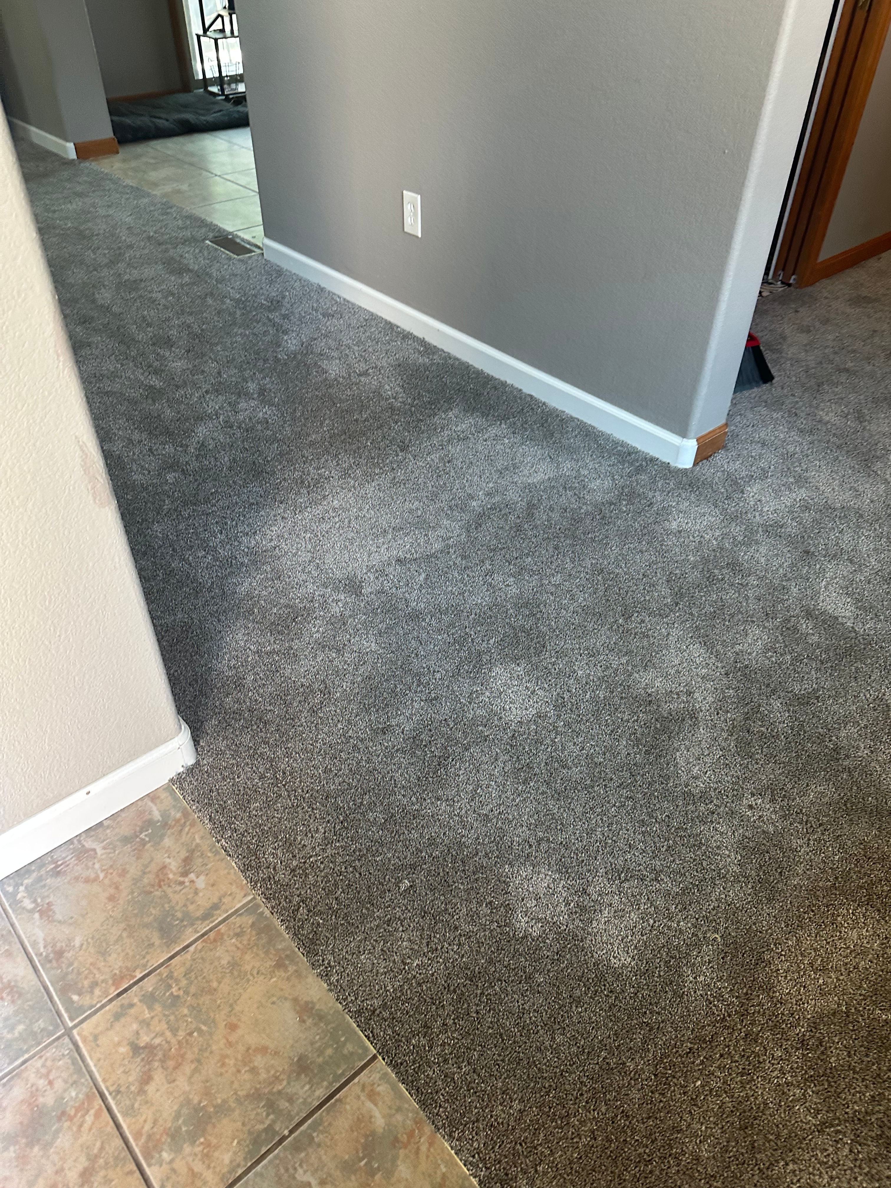  for Obed-Edom Construction in Broomfield County, CO