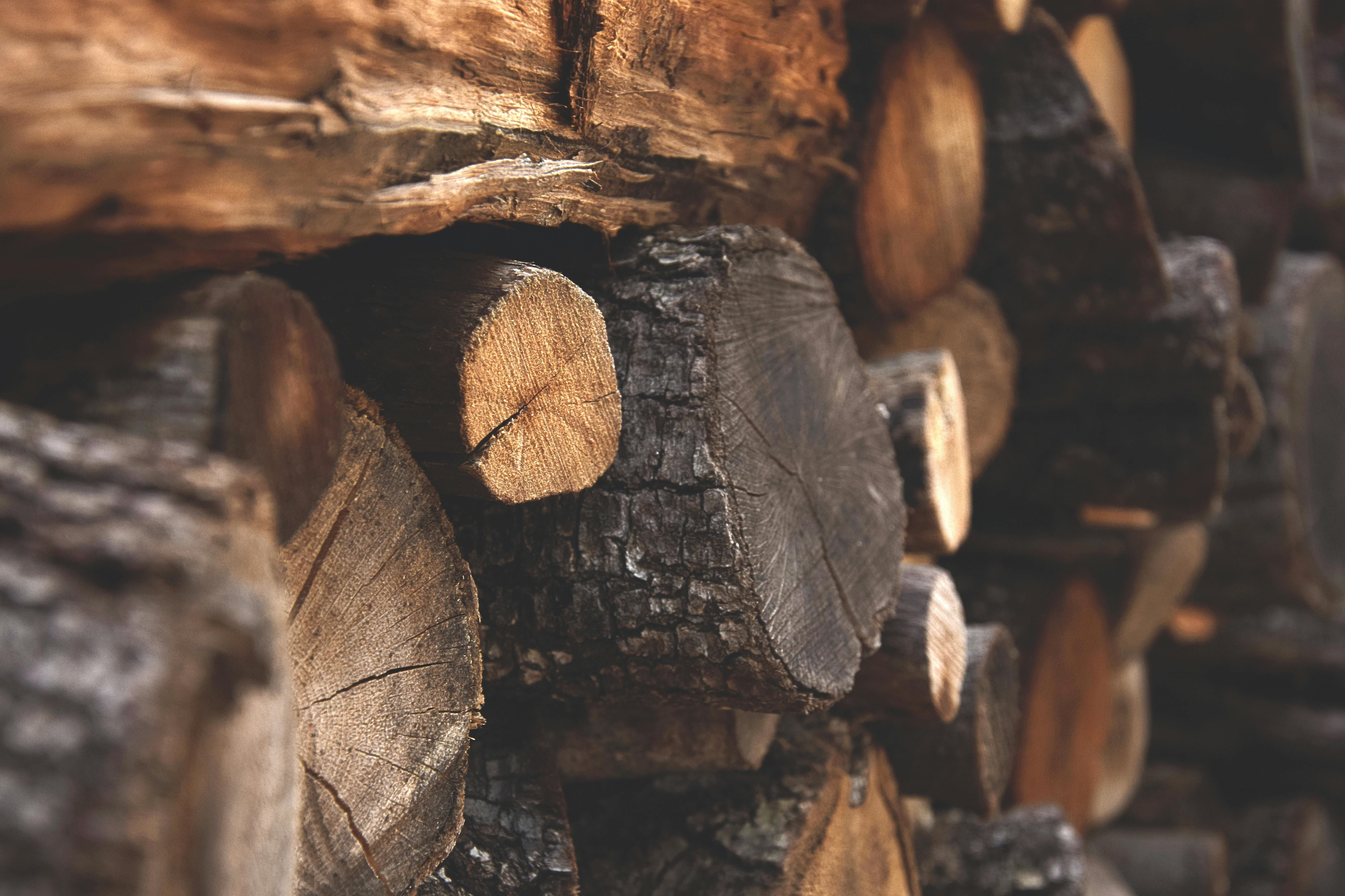 All Photos for Pro Tree Trim & Removal, Llc in Dayton, OH