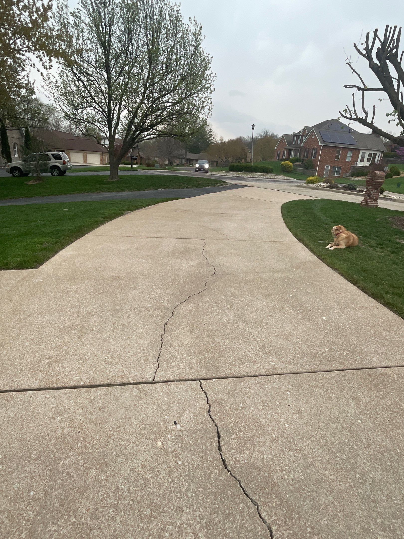  for See2it Clean in St Louis, MO