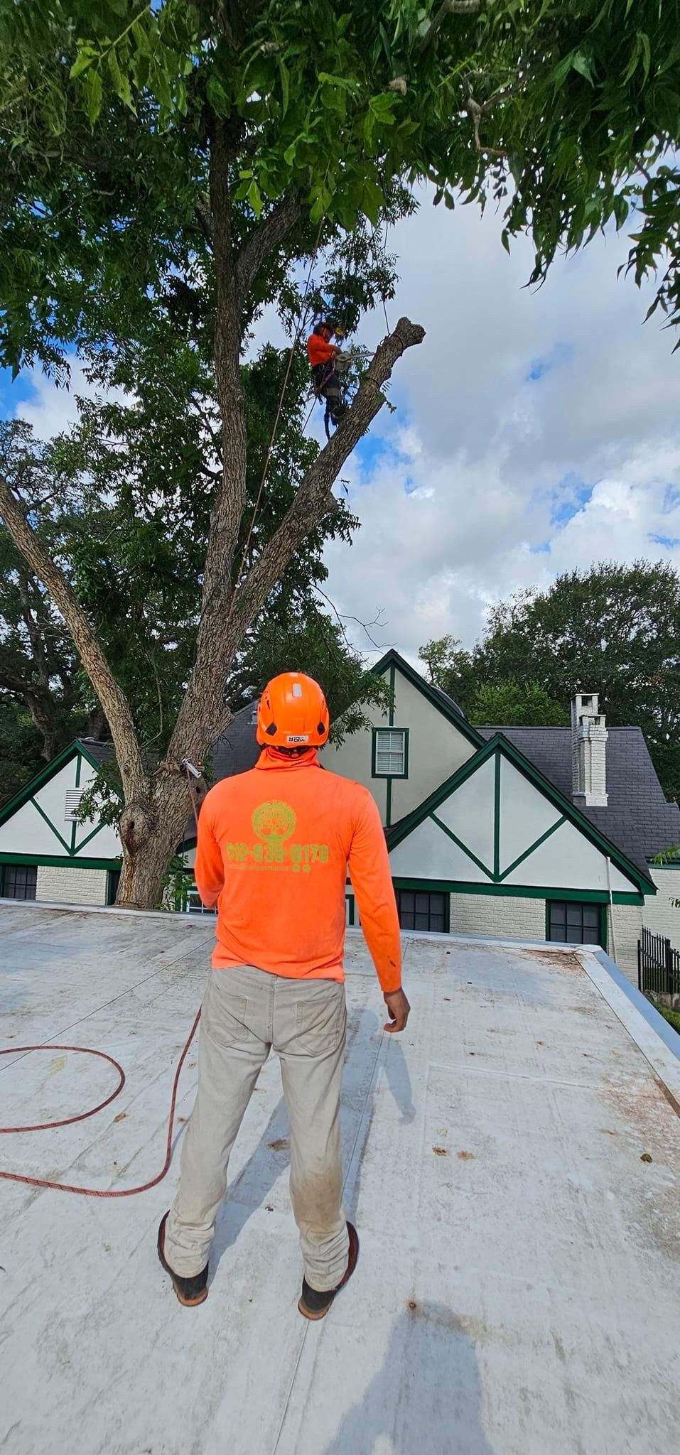  for Servin's Tree Care  in Houston, TX