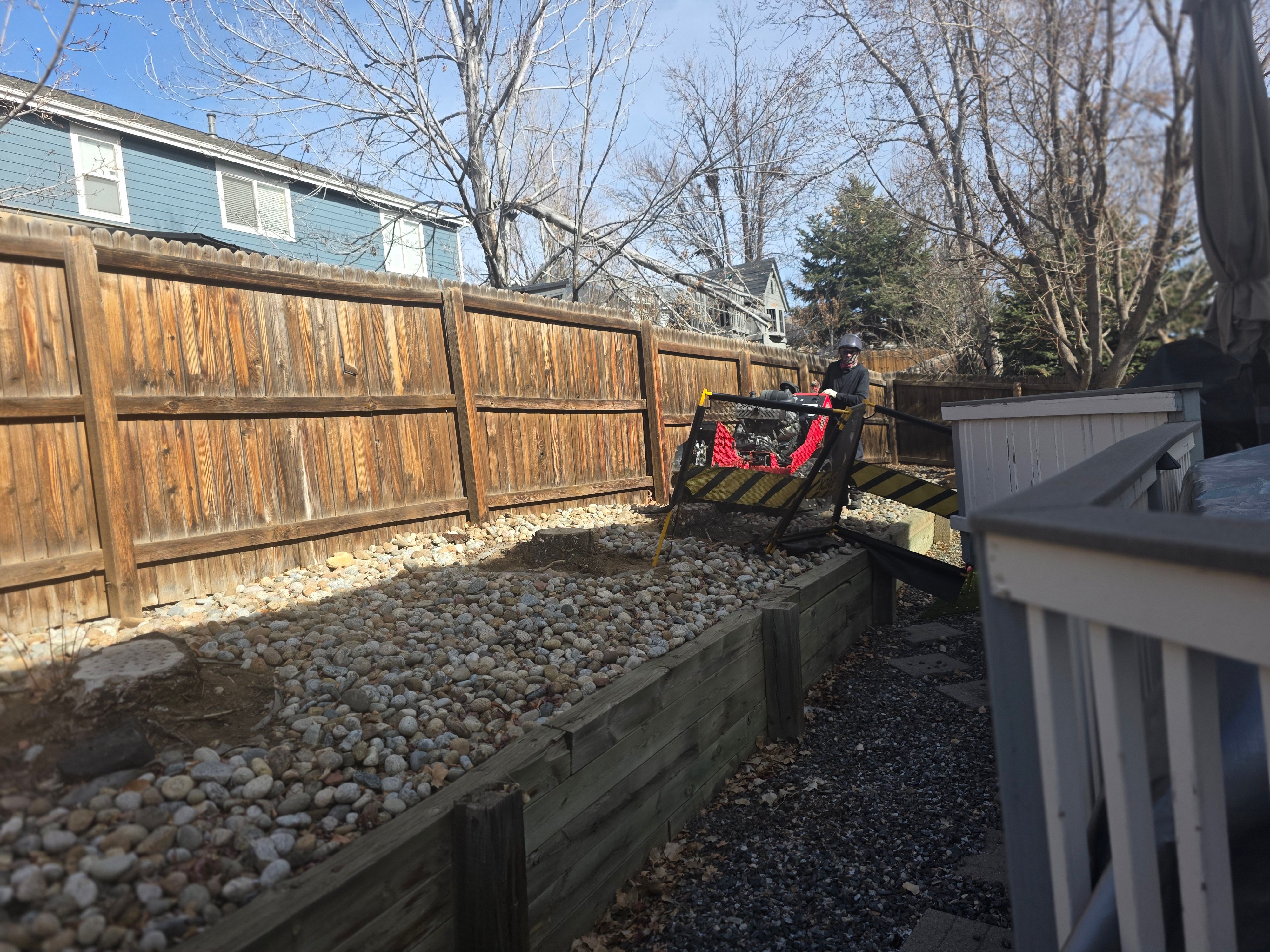 All Photos for Beetle Busters LLC in Centennial, CO