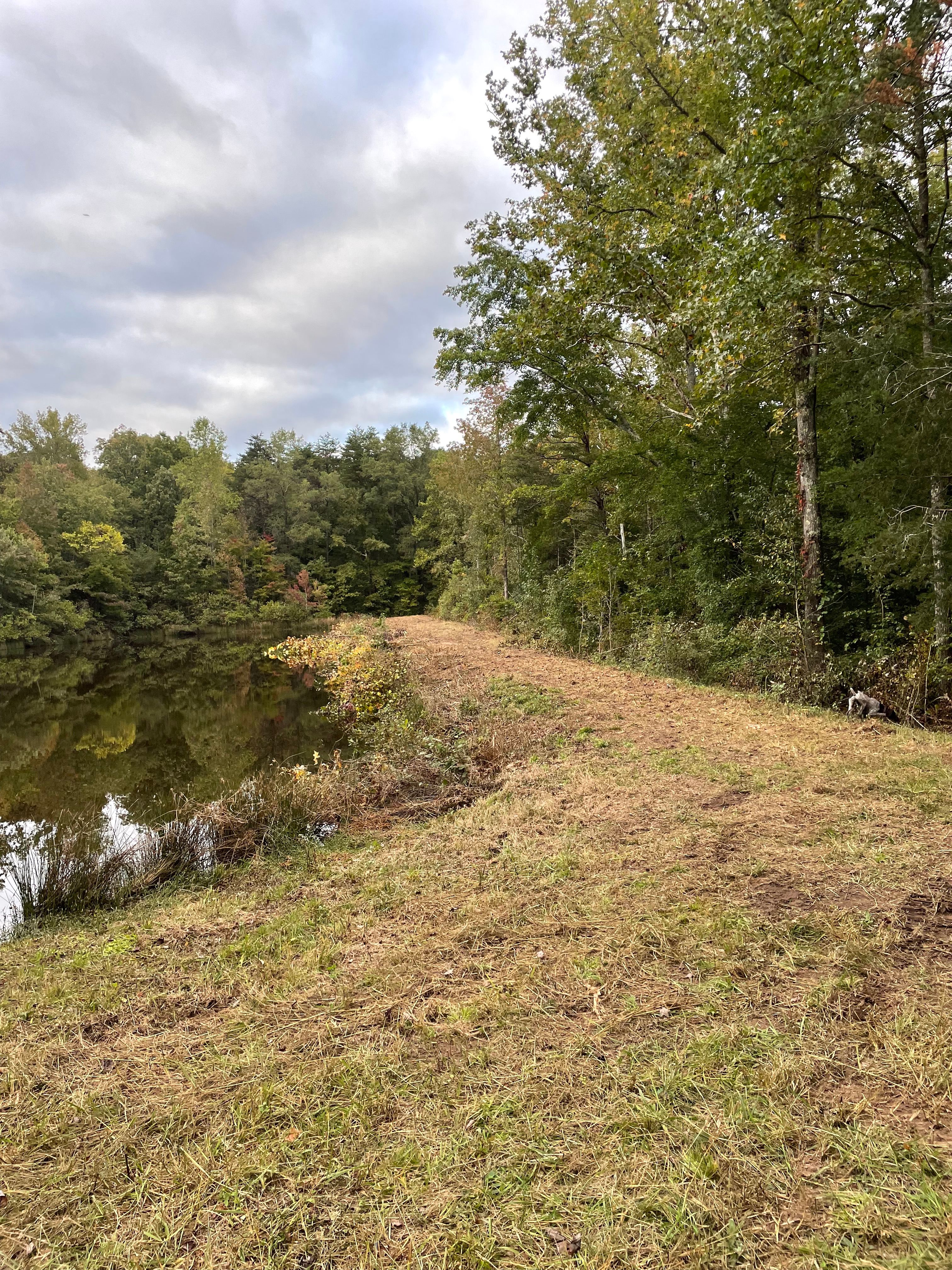  for Cedar Point Land Management in Richmond, VA