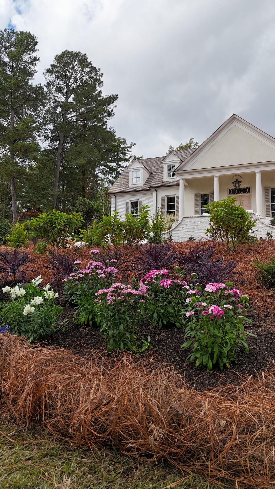  for Amis Lawn and Landscape, LLC in Clinton, MS