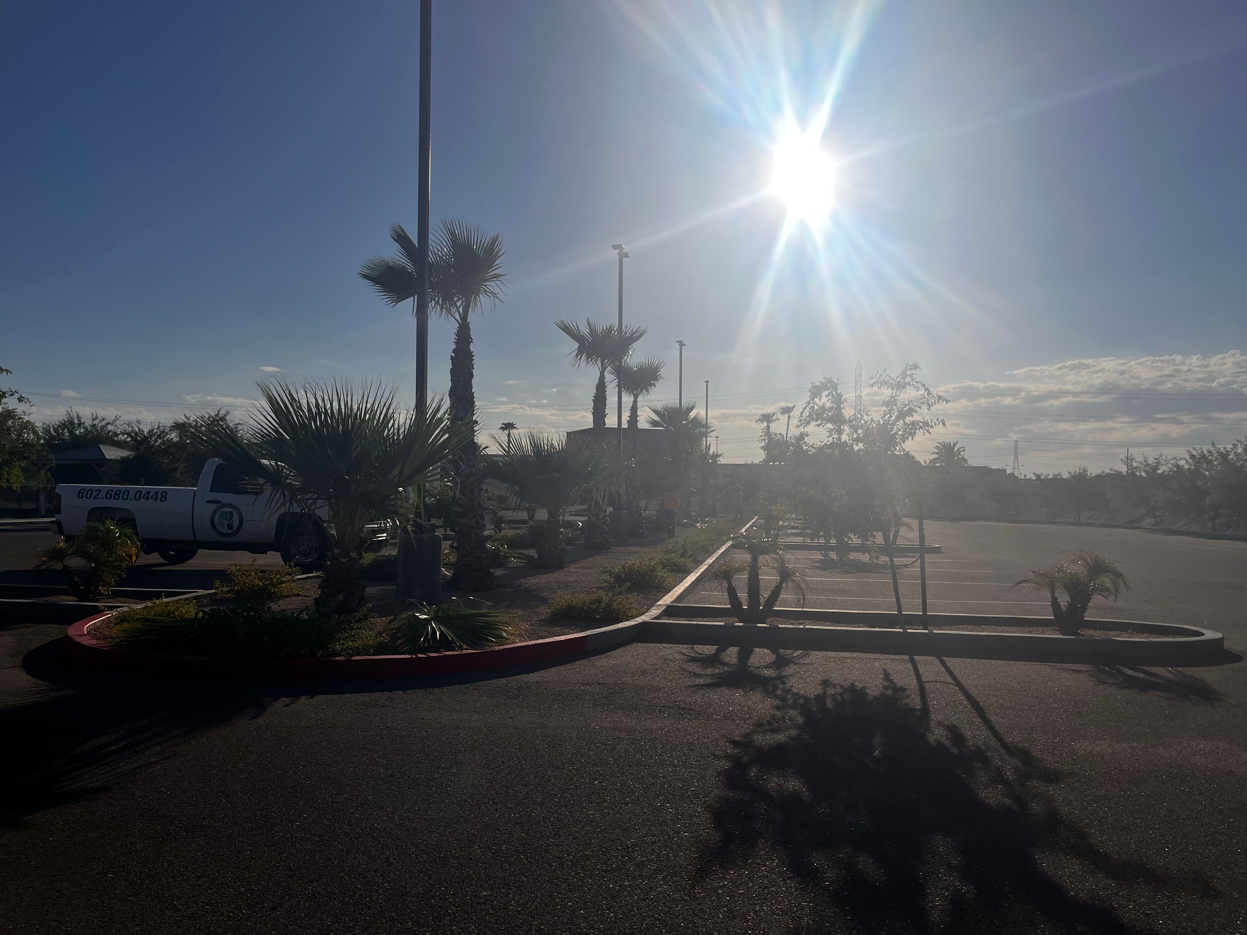  for AZ Tree & Hardscape Co in Surprise, AZ