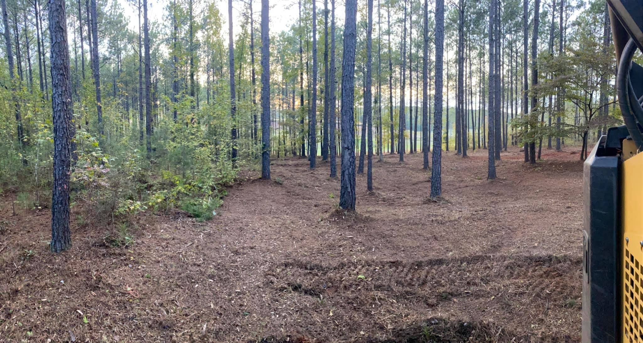 for Archer Land Management in Macon, GA