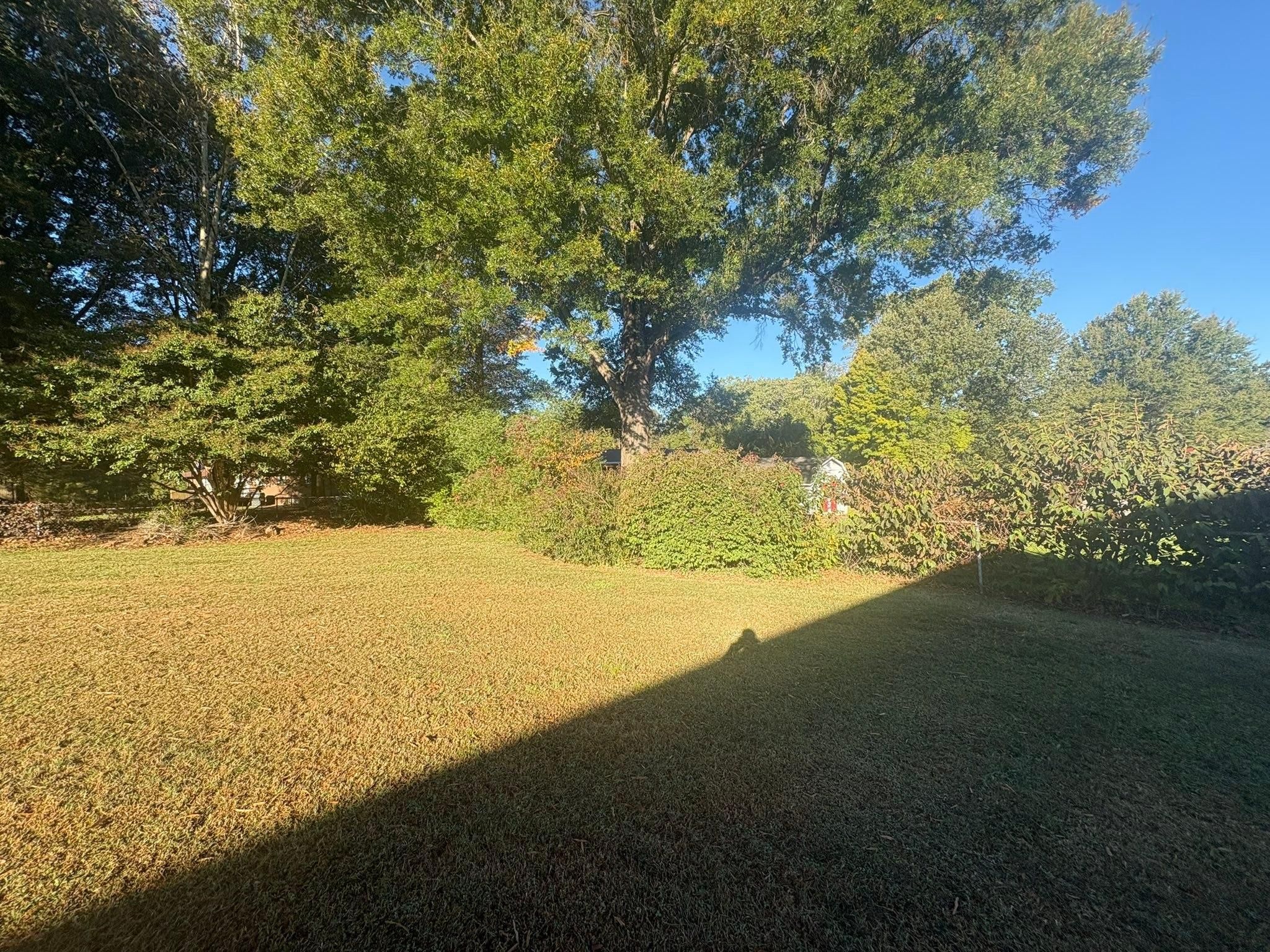  for Queen’s Landscaping in Kernersville, NC