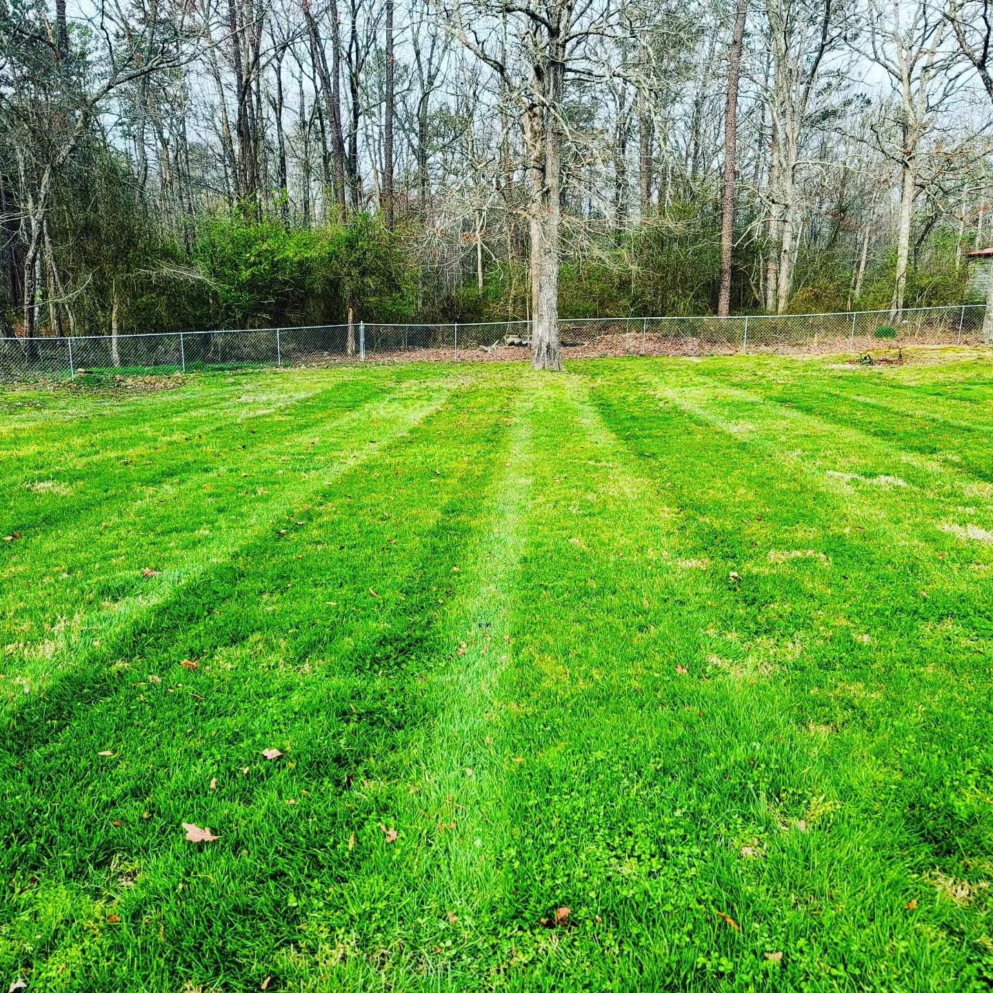  for Piedmont Lawn and Landscaping in Lexington, NC