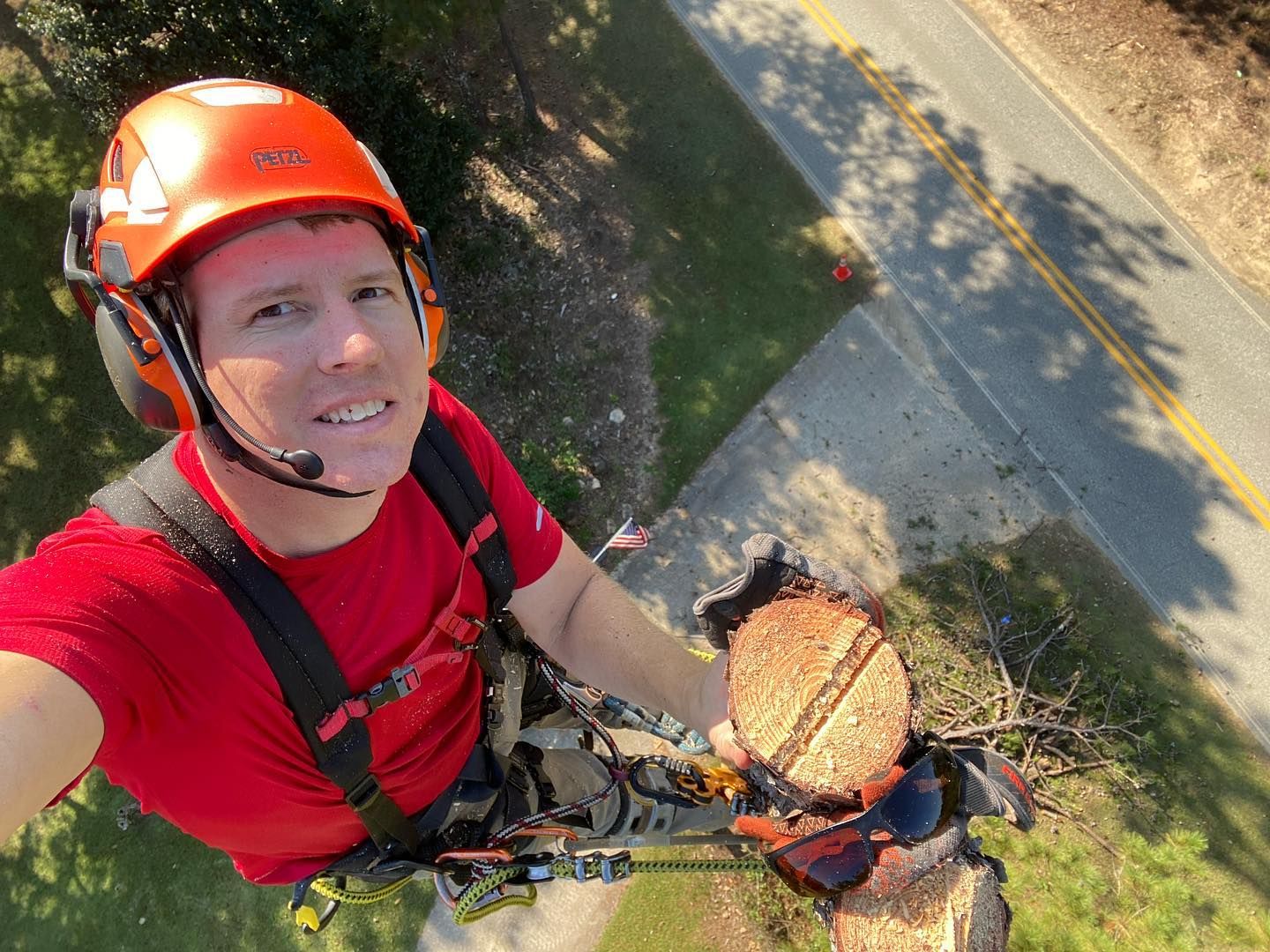 Tree Removal for Pinedown LLC in Cherokee County, GA