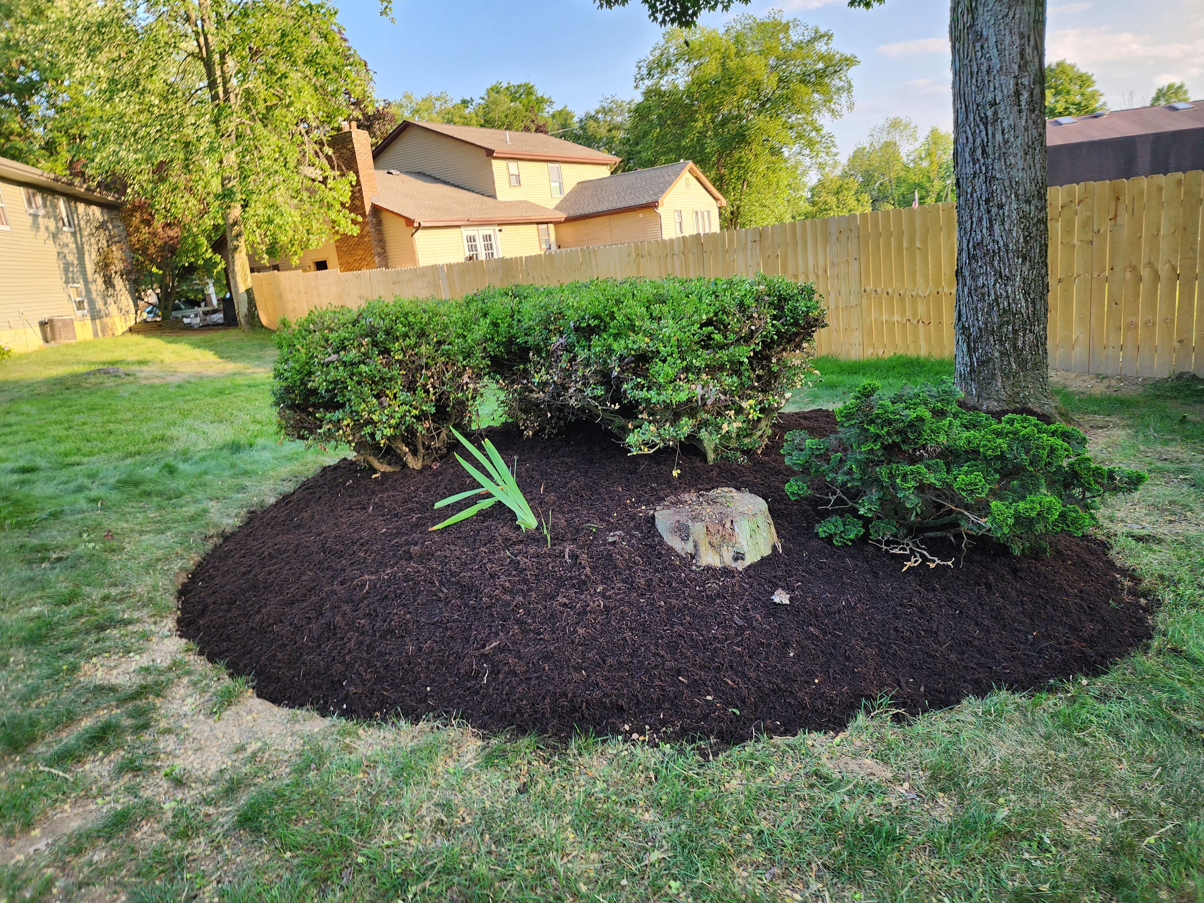  for P & M LANDSCAPING LLC in Trumbull County, Ohio
