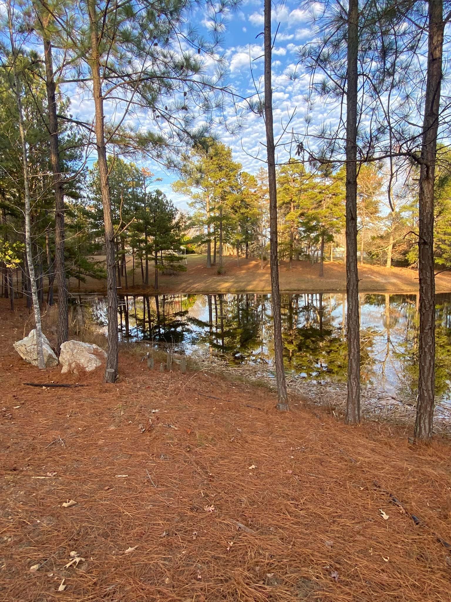  for Ascending Tree Service LLC in Kenbridge, VA