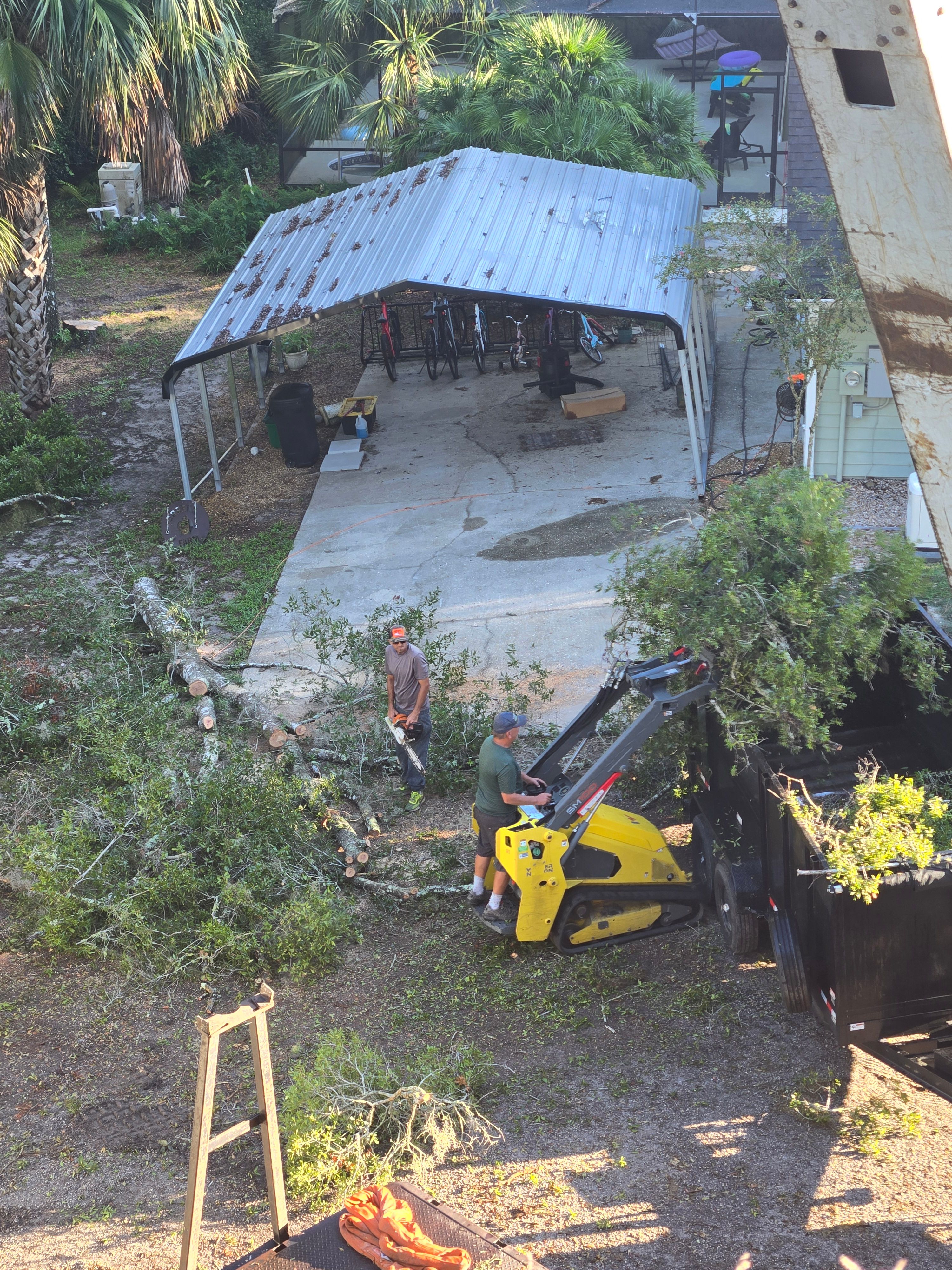 All Photos for Near Me Tree Service, Inc. in DeLand, FL
