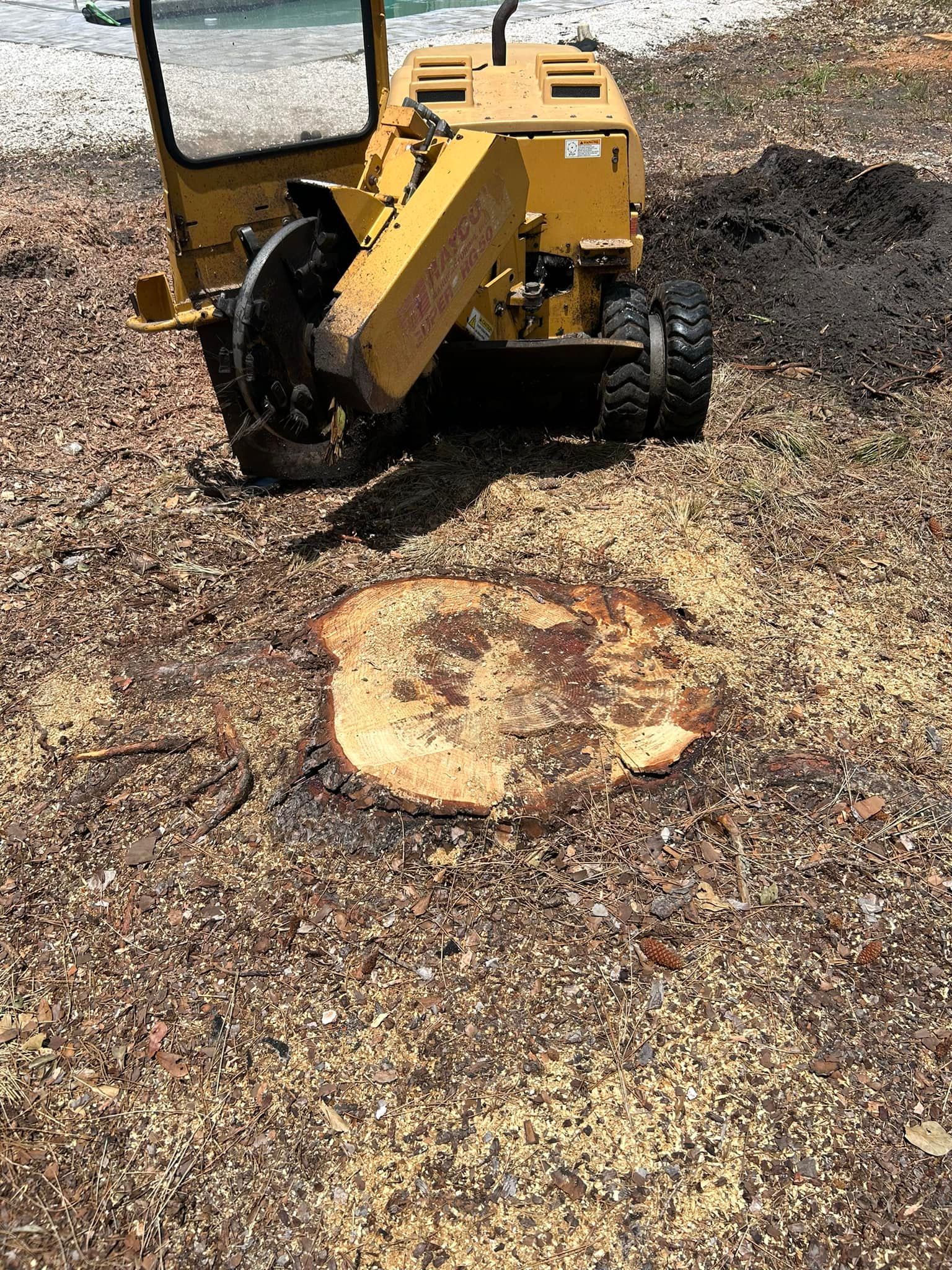  for Grizzly Stump Grinding in Sarasota, FL