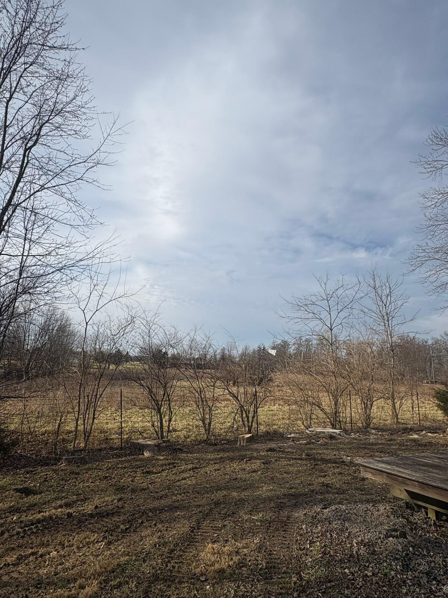  for Dig-It Tree Company in Mason, OH