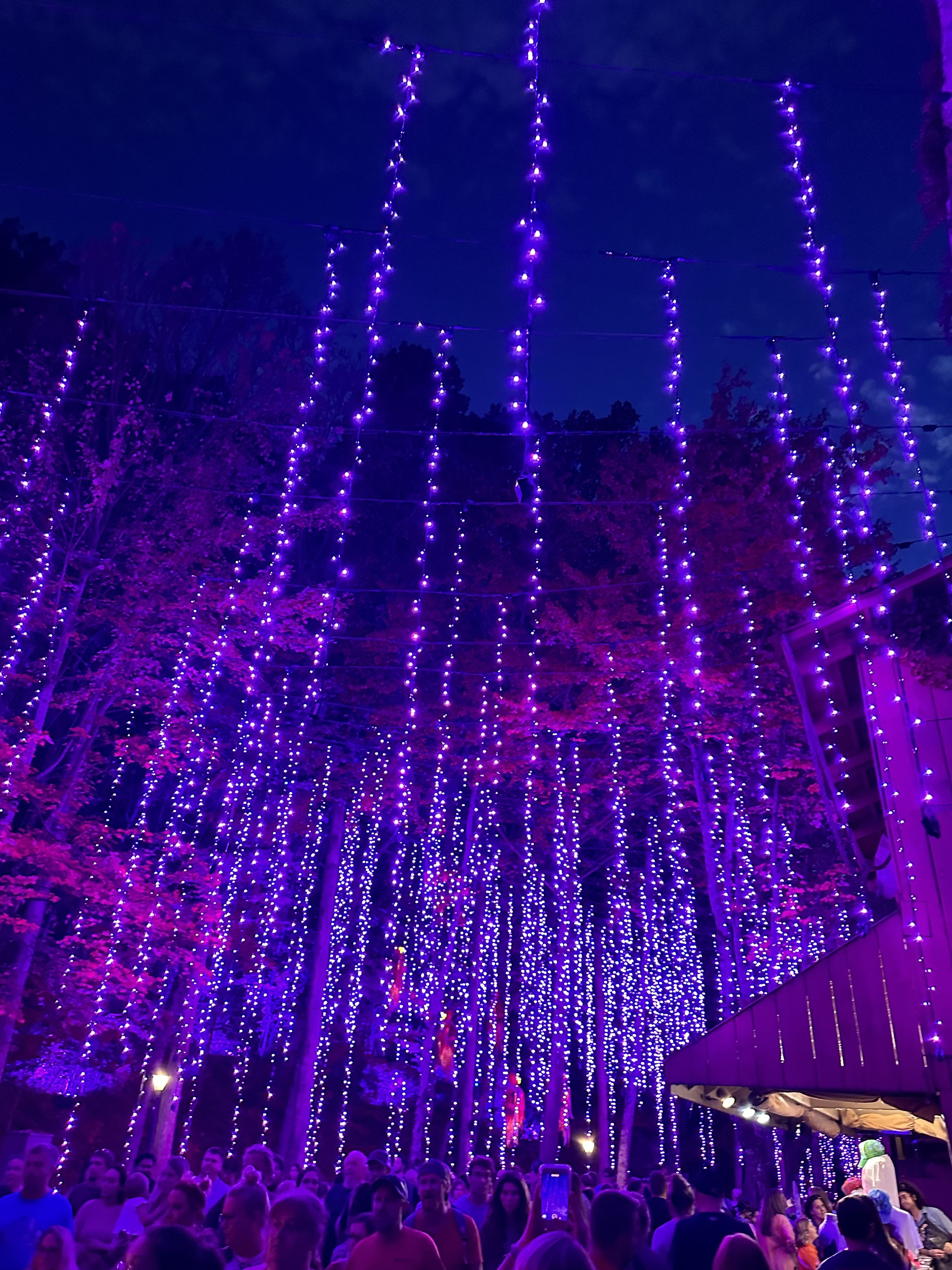  for Holiday Lighting Solutions in Huntsville, AL
