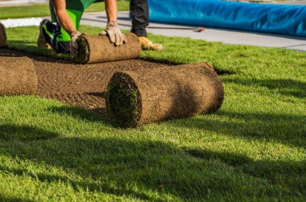  for Deeply Rooted Lawns – Hydroseeding & Sod Installation Services in Winder, GA