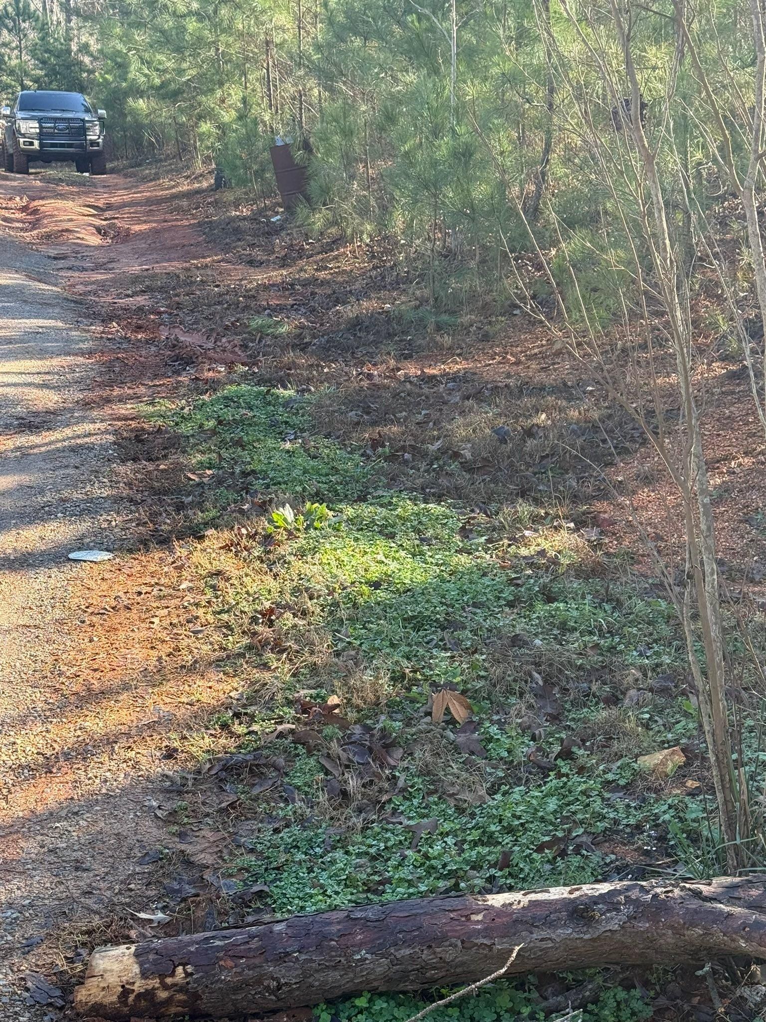  for Greenwood Lawn & Landscaping LLC in Talladega, Alabama