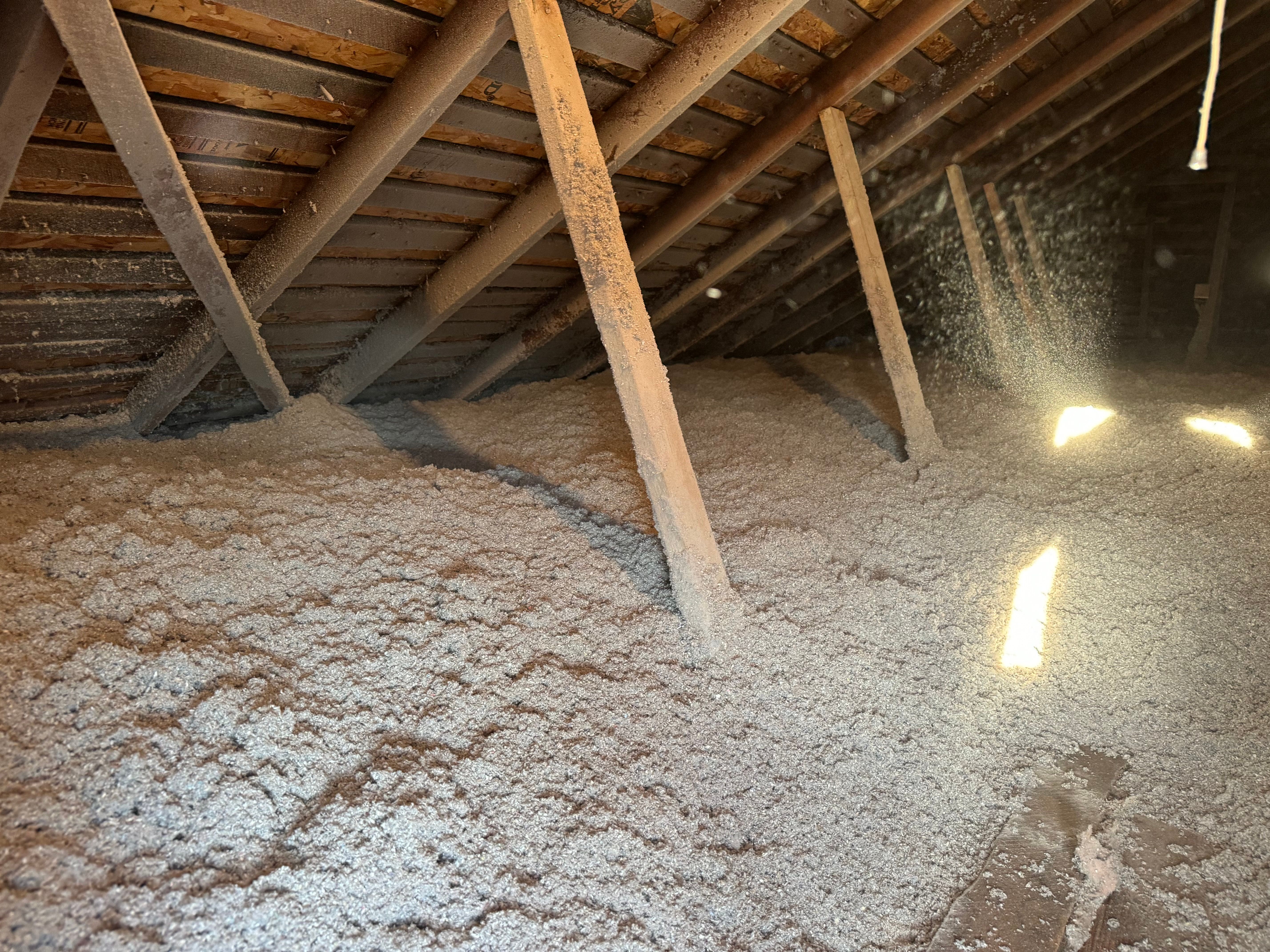  for All-In Pest Control & Home Solutions in Greene County, IN