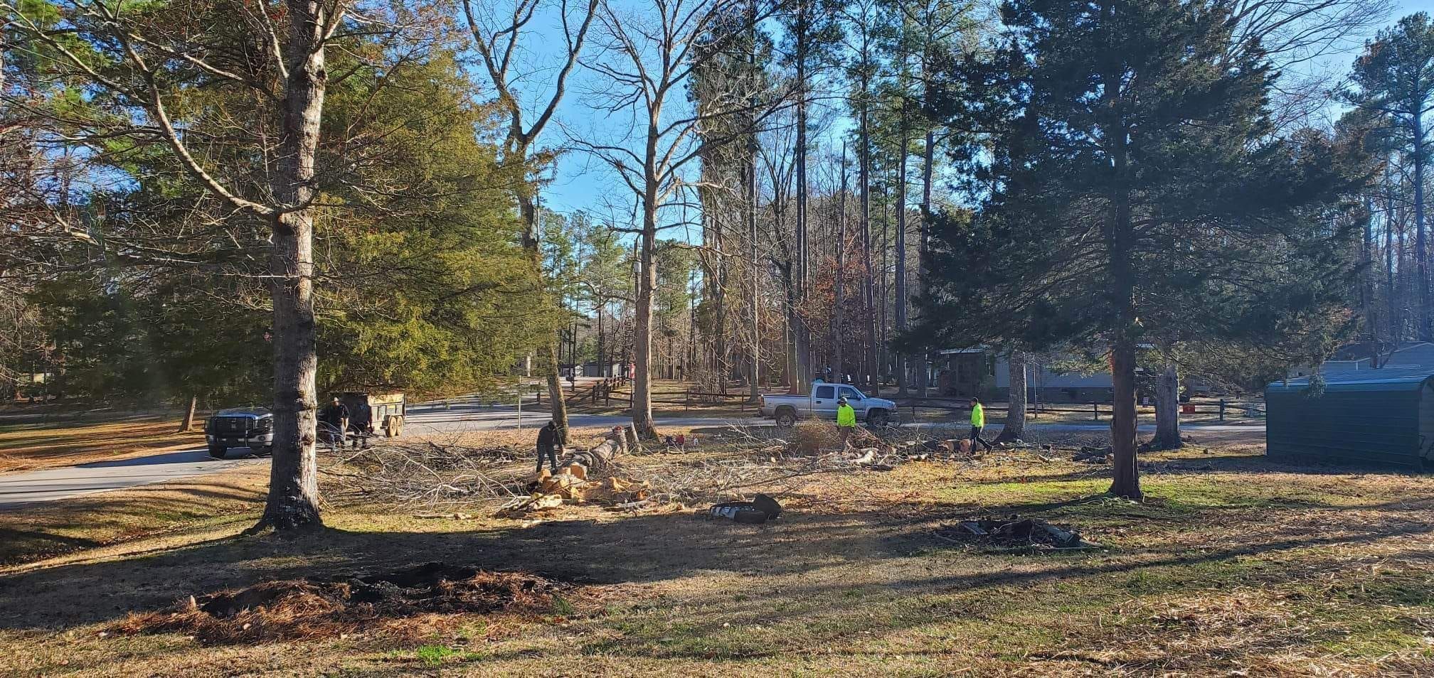 Tree Removal for Rosales Landscaping LLC in Lake Gaston, North Carolina