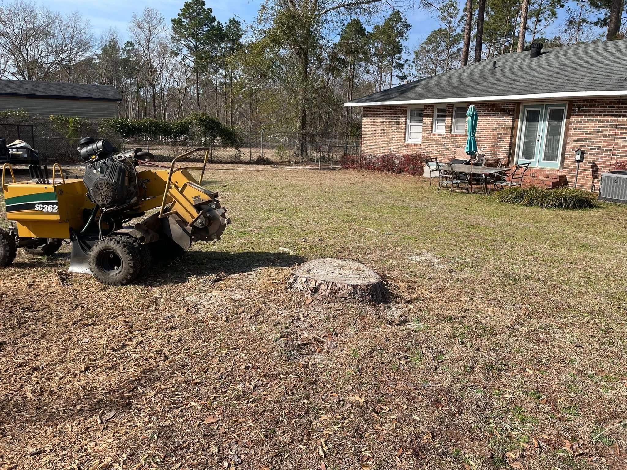 All Photos for MJB’s Stump Grinding LLC in Tennille, GA