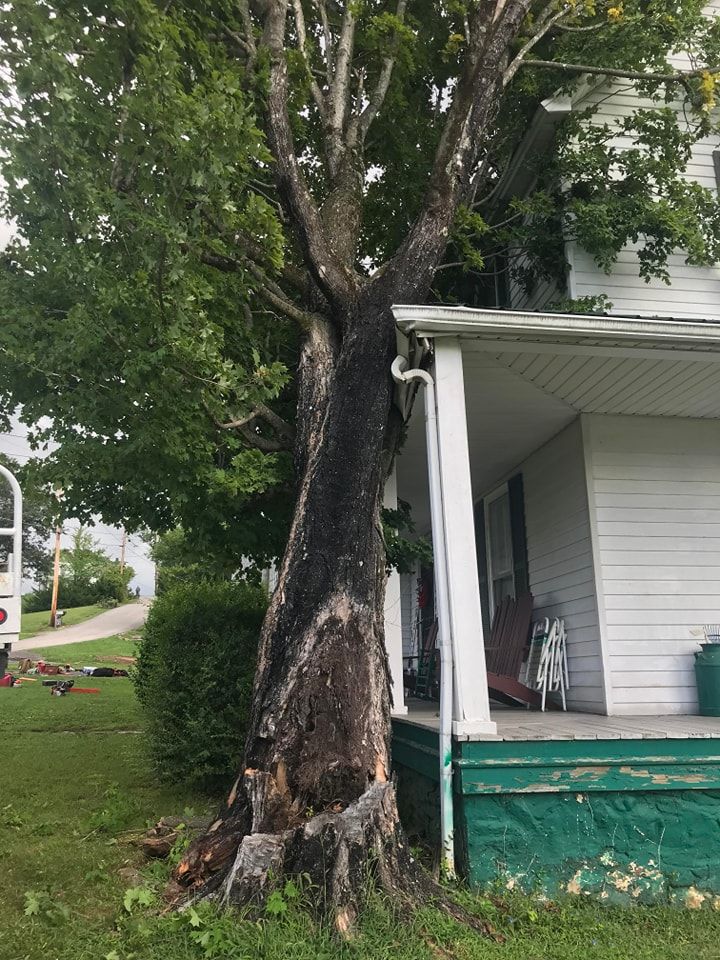  for Reagan & Sons Tree Service in Dandridge, TN
