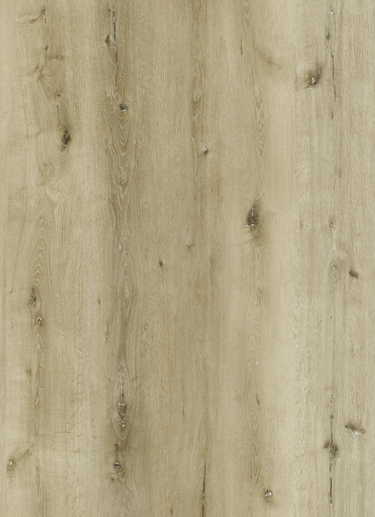  for Faith Friendly Flooring in Dalton, GA