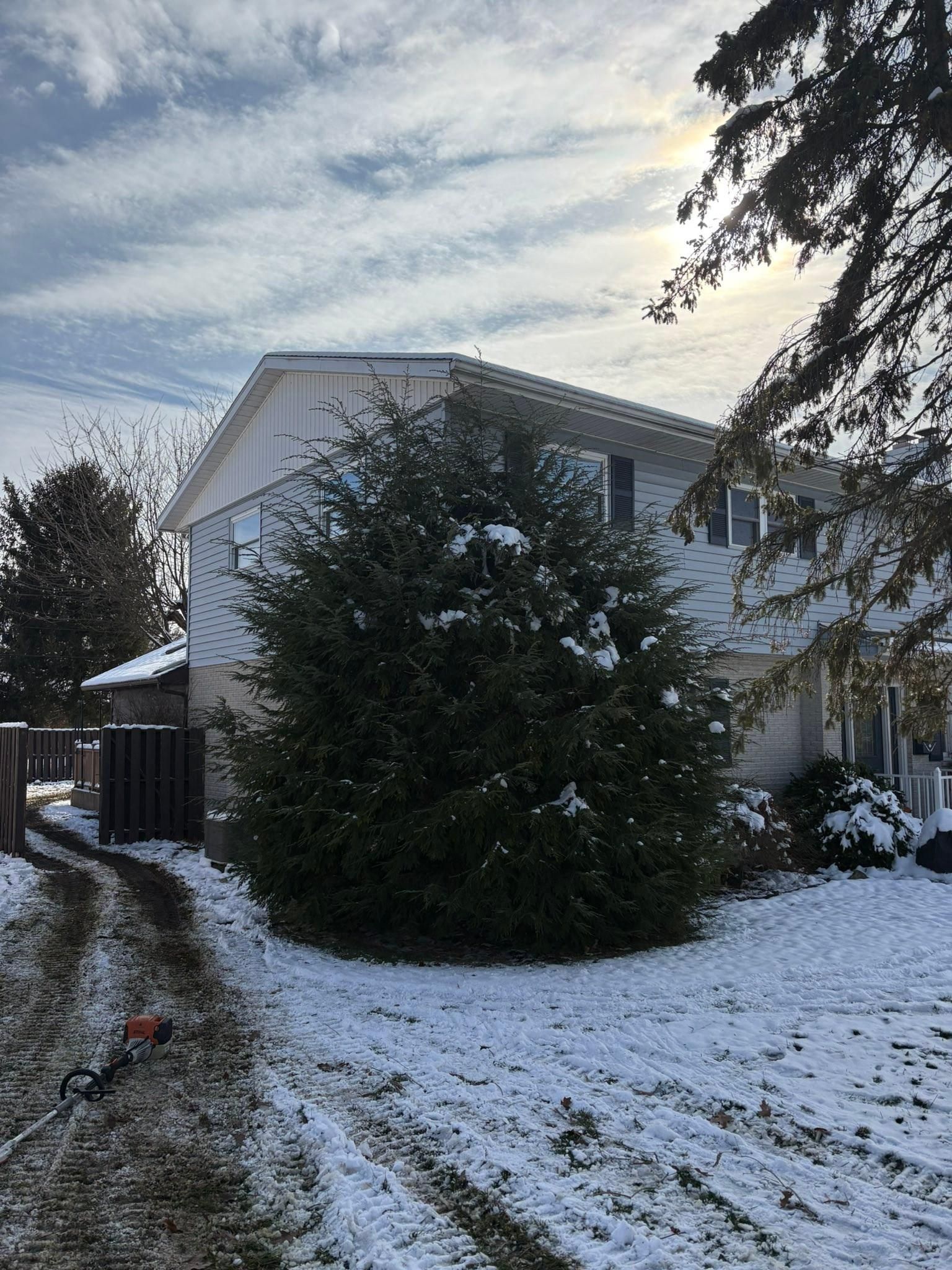  for Dig-It Tree Company in Mason, OH