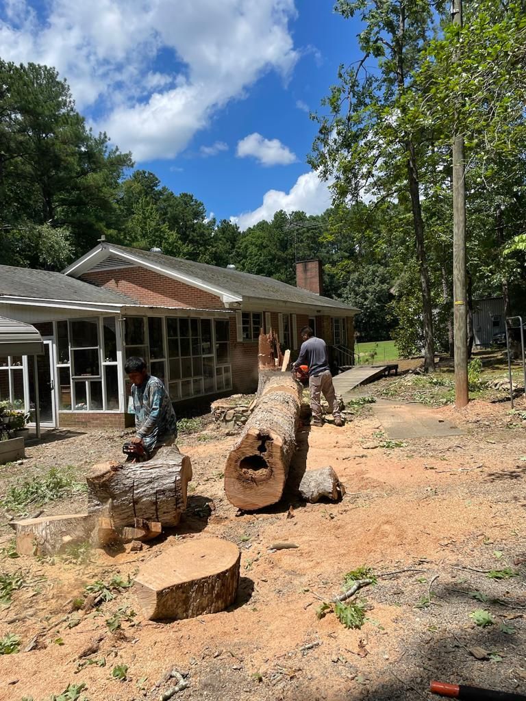 Tree Removal for Rosales Landscaping LLC in Lake Gaston, North Carolina