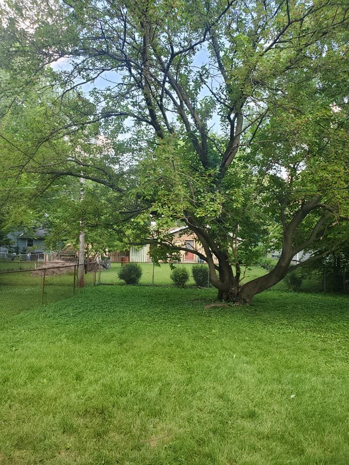  for Henry's Lawn Care in Rockford, IL
