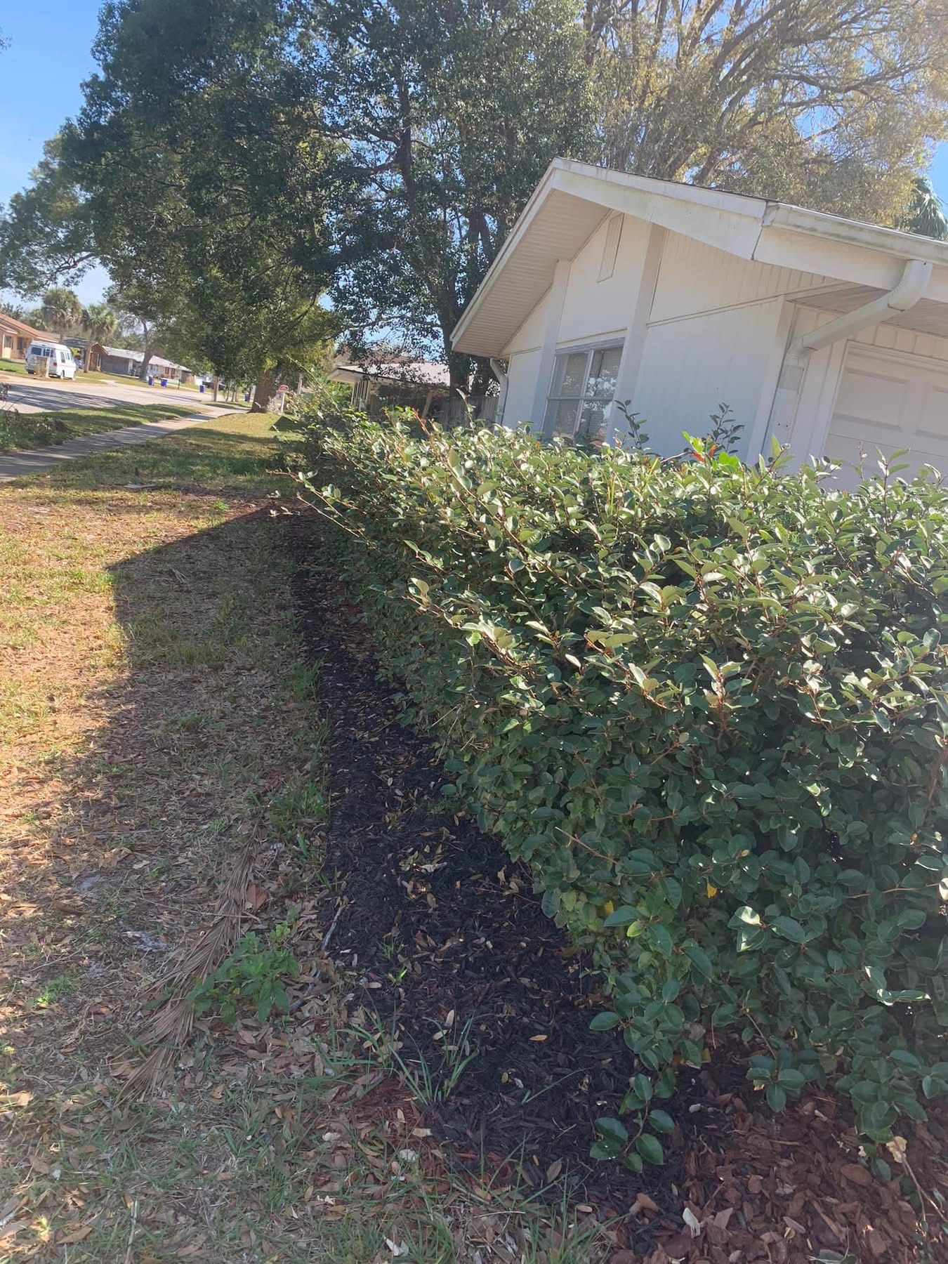  for Space Coast Property Maintenance and Management LLC in Melbourne, FL