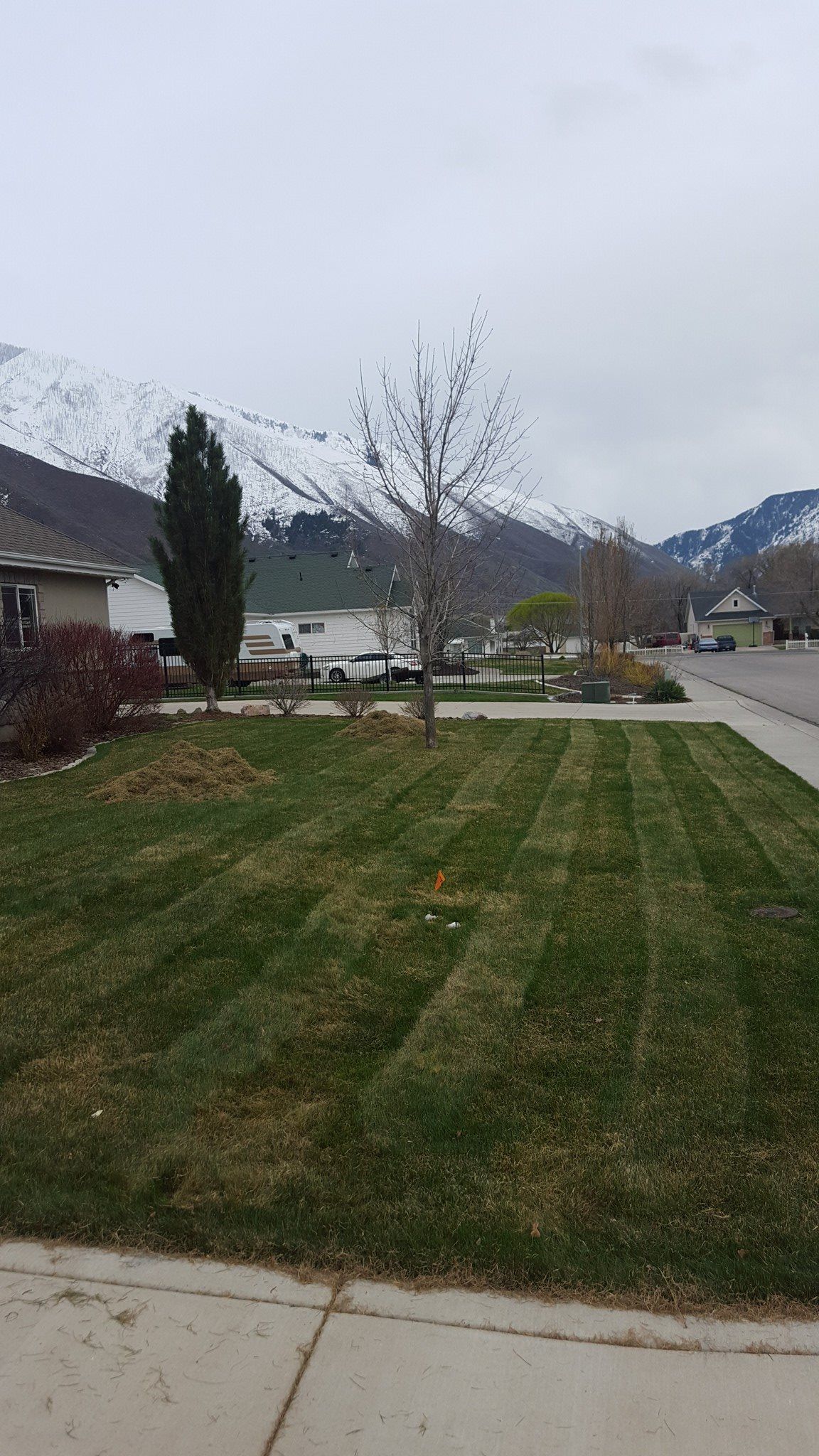  for Platinum Lawn Service in Santaquin, UT