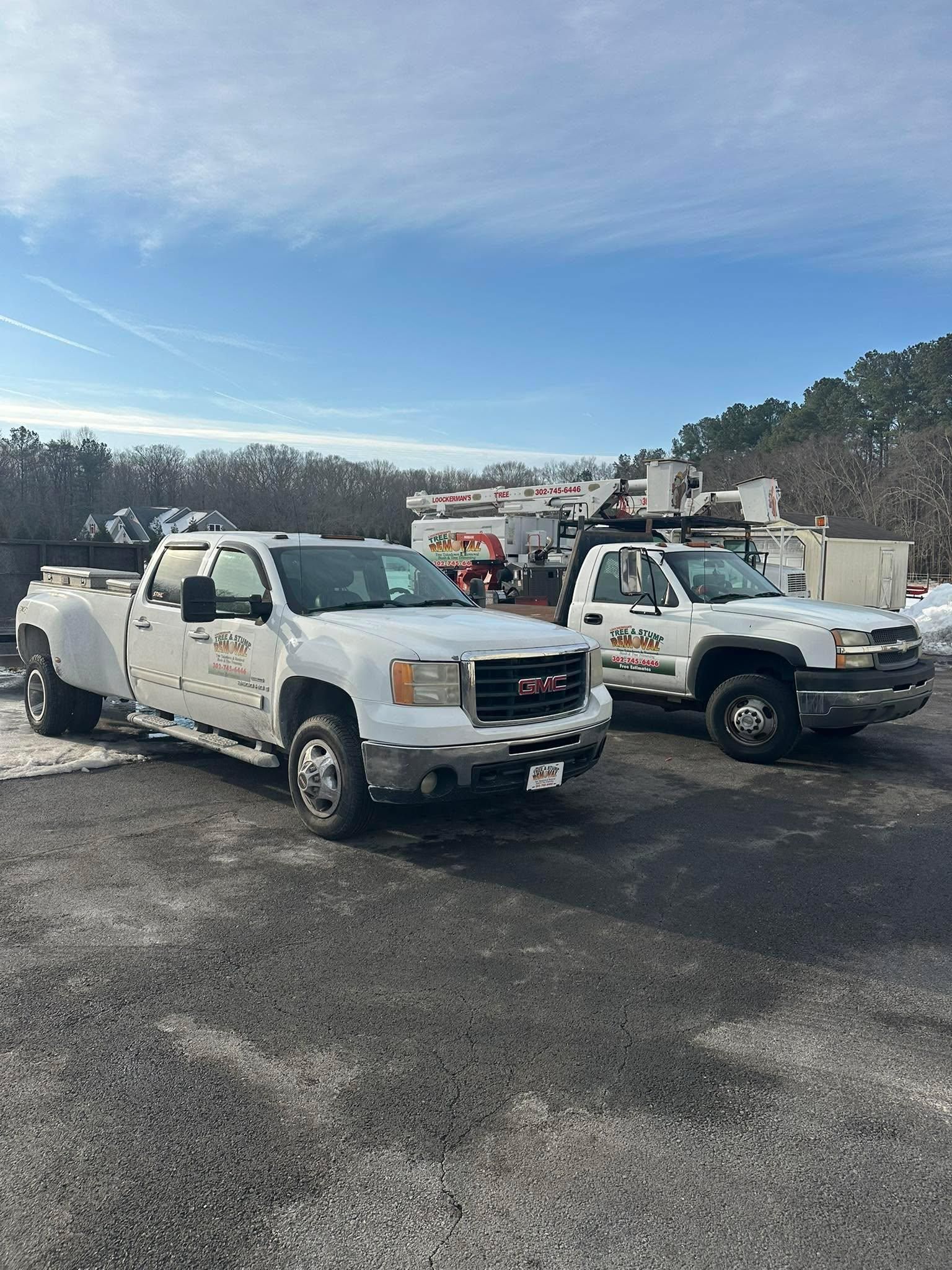  for Loockerman's Tree and Stump Removal in Dover, DE