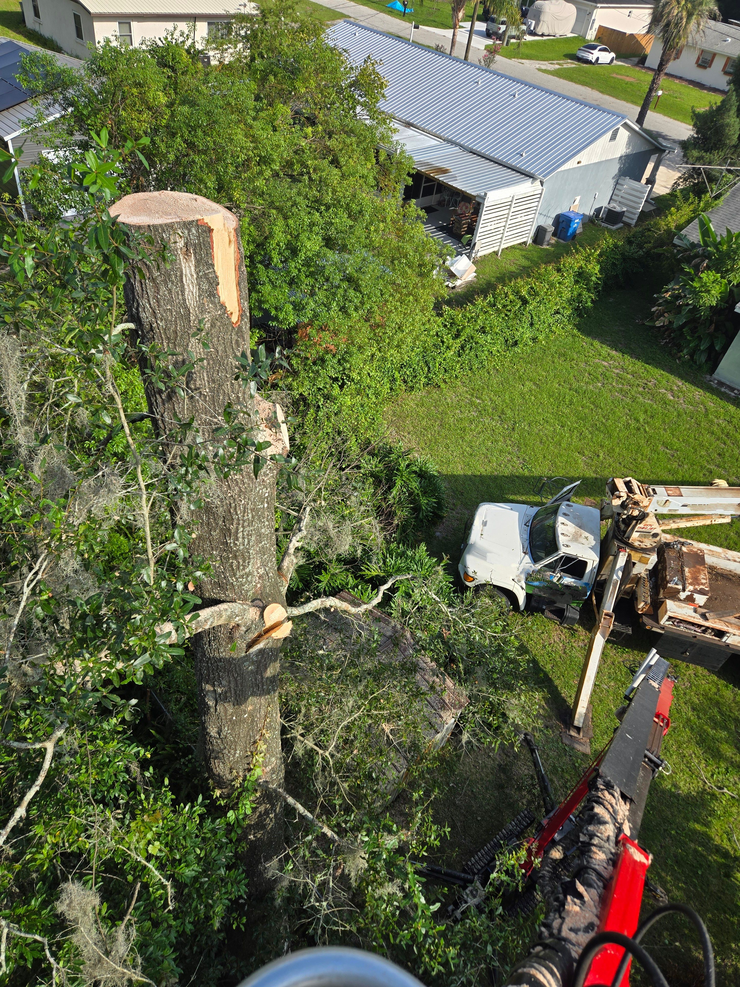 All Photos for Near Me Tree Service, Inc. in DeLand, FL