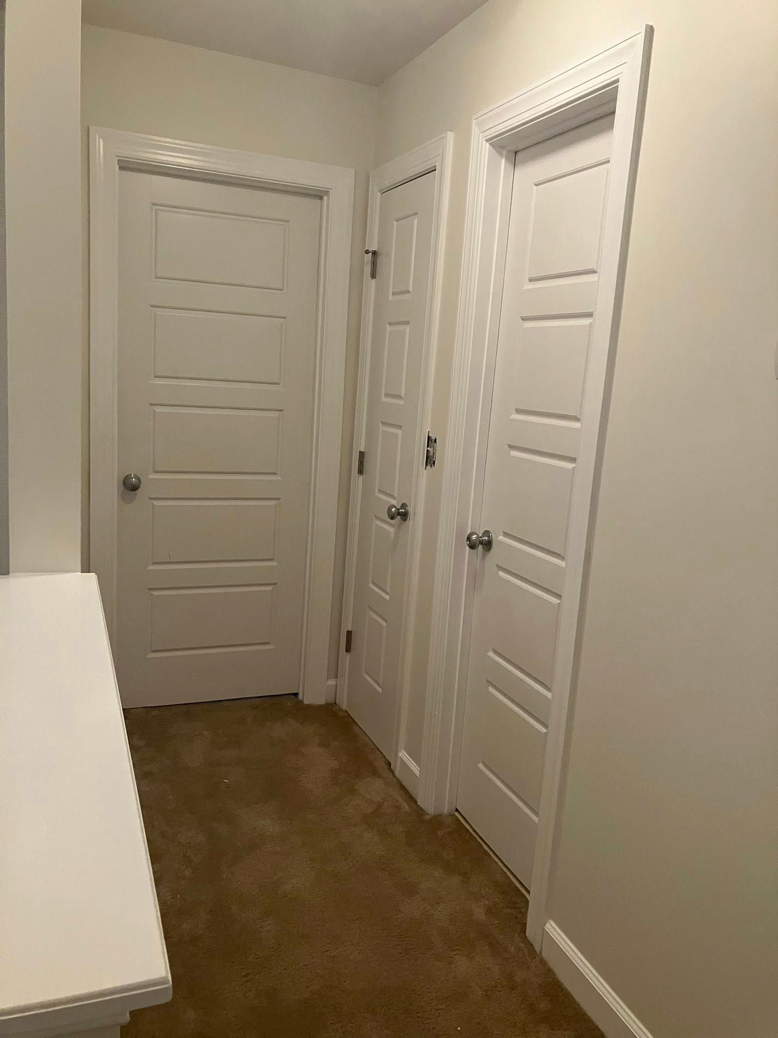  for Painting New Reborn in Rocky Point, NC