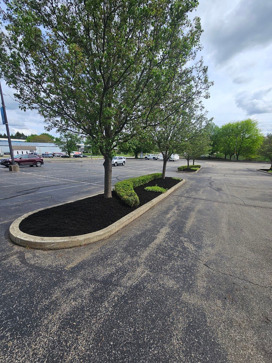  for Tel Ma Landscaping Maintenance LLC  in Urbana, OH