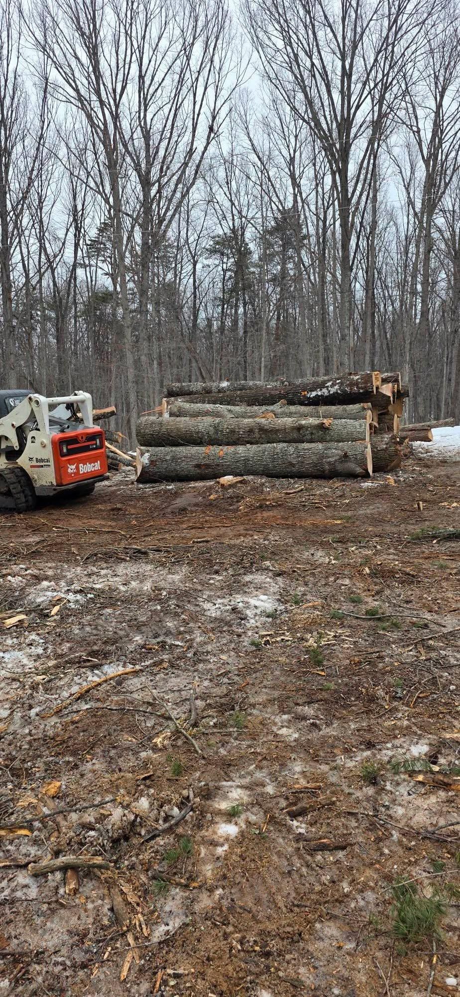  for Hamlett Tree Service LLC in Clover, VA