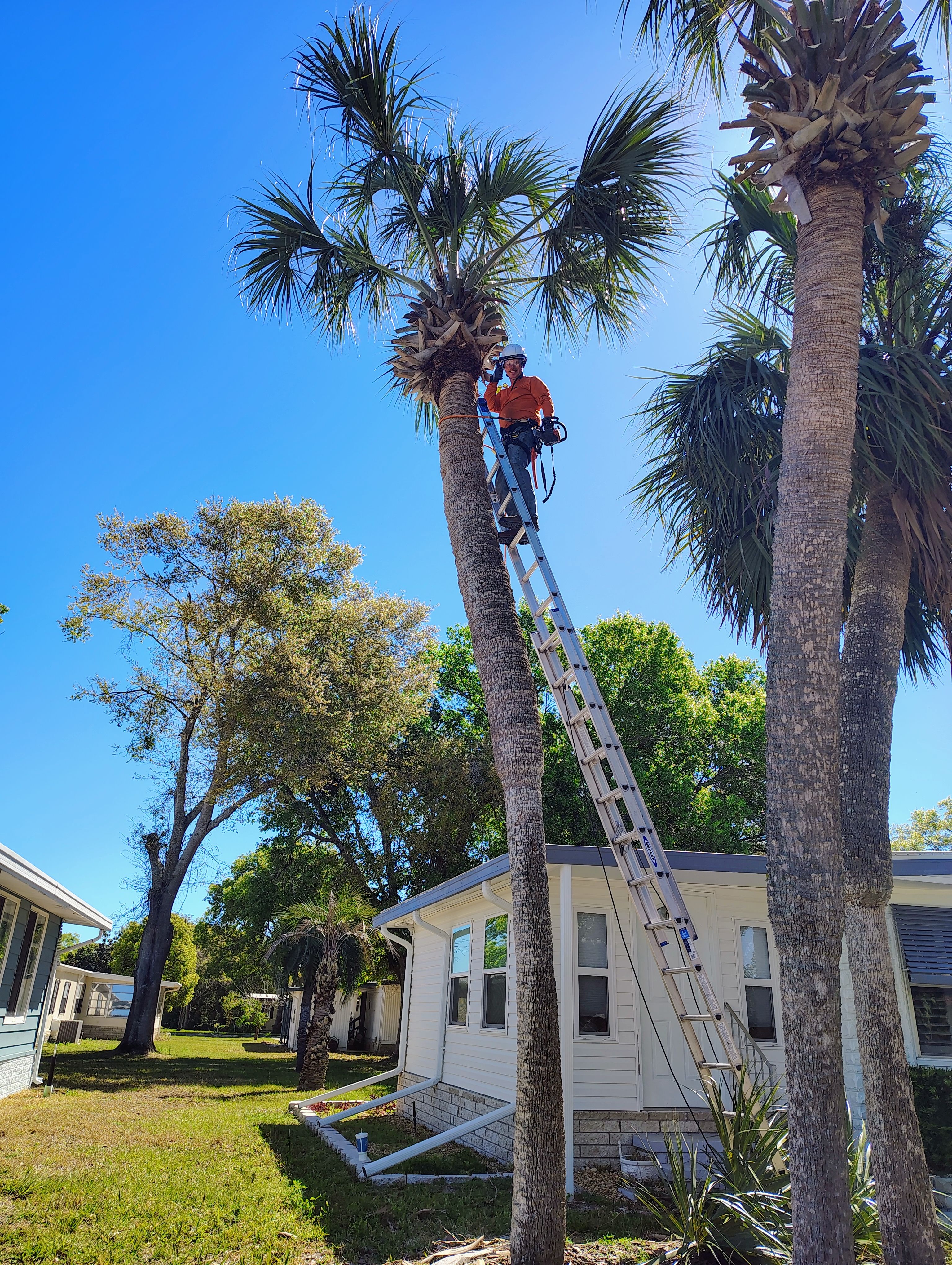  for Amerigrown Tree And Lawn in Apopka, FL