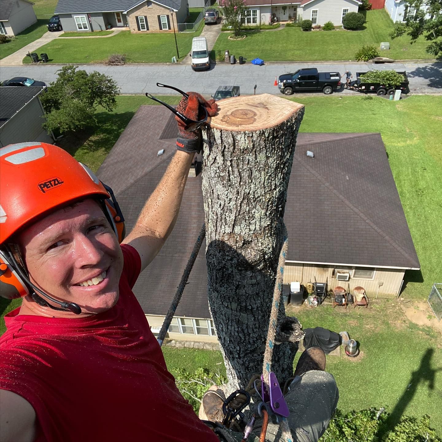 Tree Removal for Pinedown LLC in Cherokee County, GA