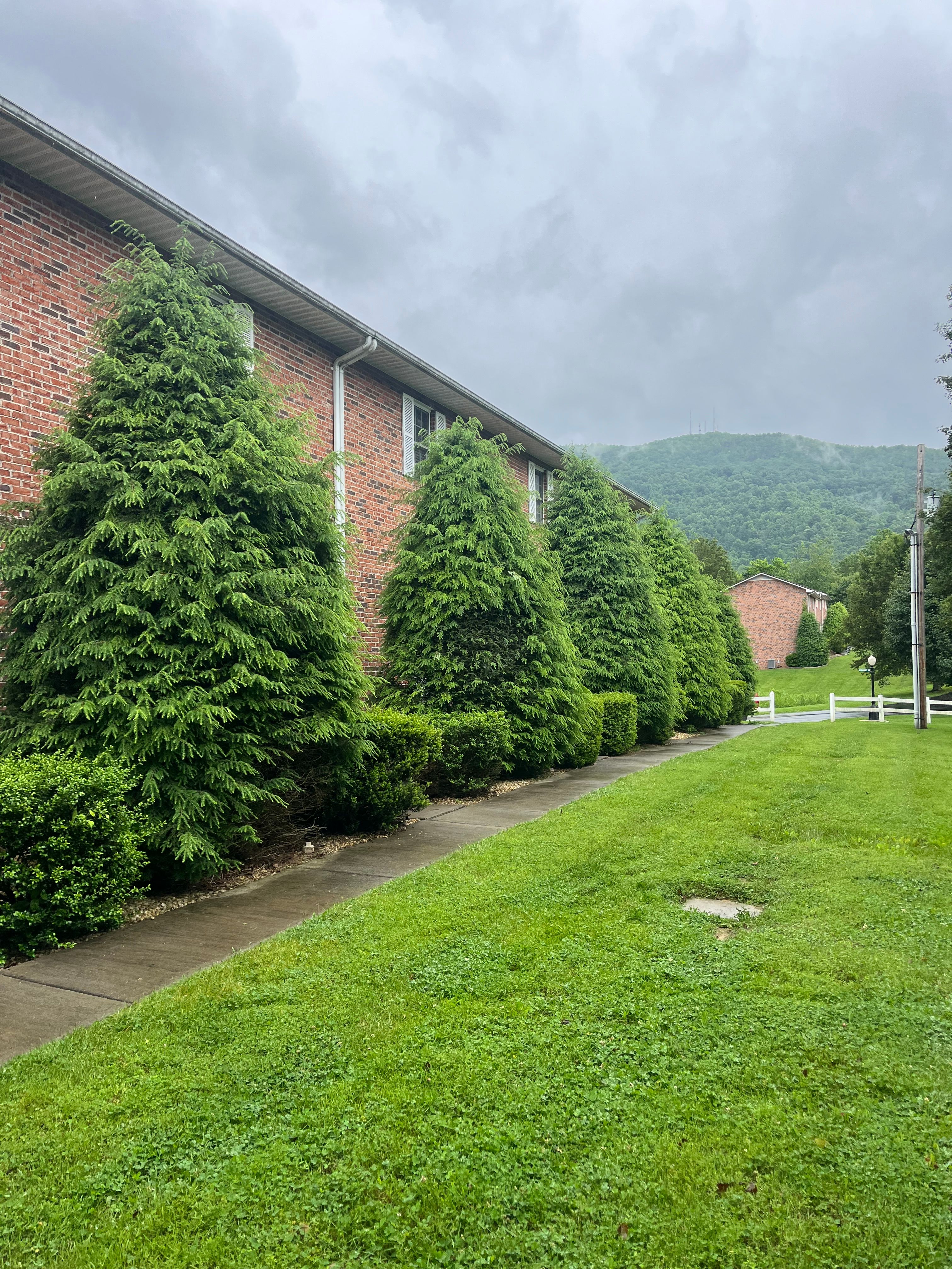  for Taylors Enterprises in Johnson City, TN