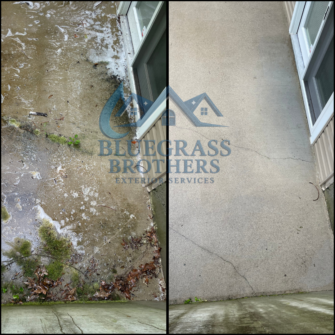  for Bluegrass Brothers Exterior Services LLC in Elizabethtown, KY