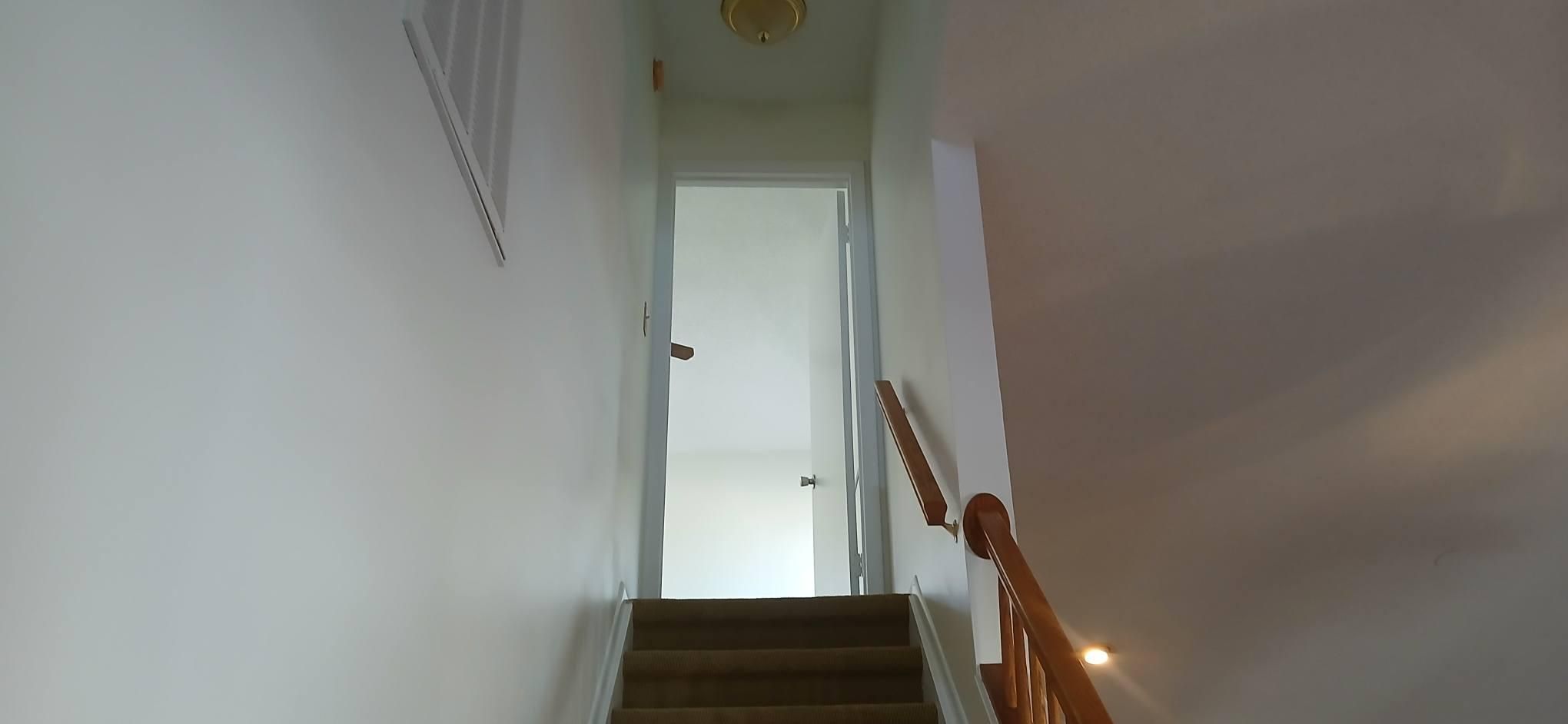  for Bradley Bradshaw Painting in Christmas, FL