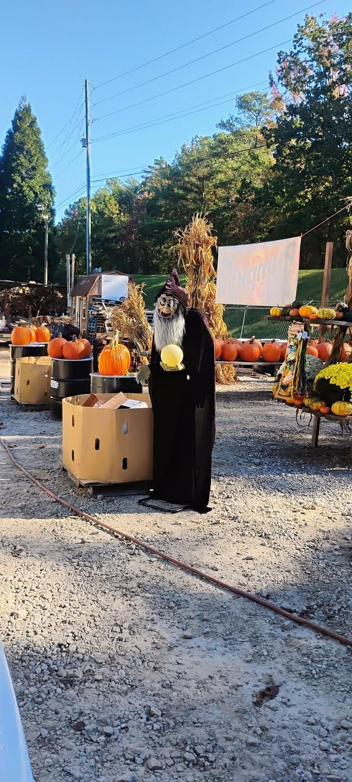 All Photos for BAM Another Pinestraw Lot in Flowery Branch, GA