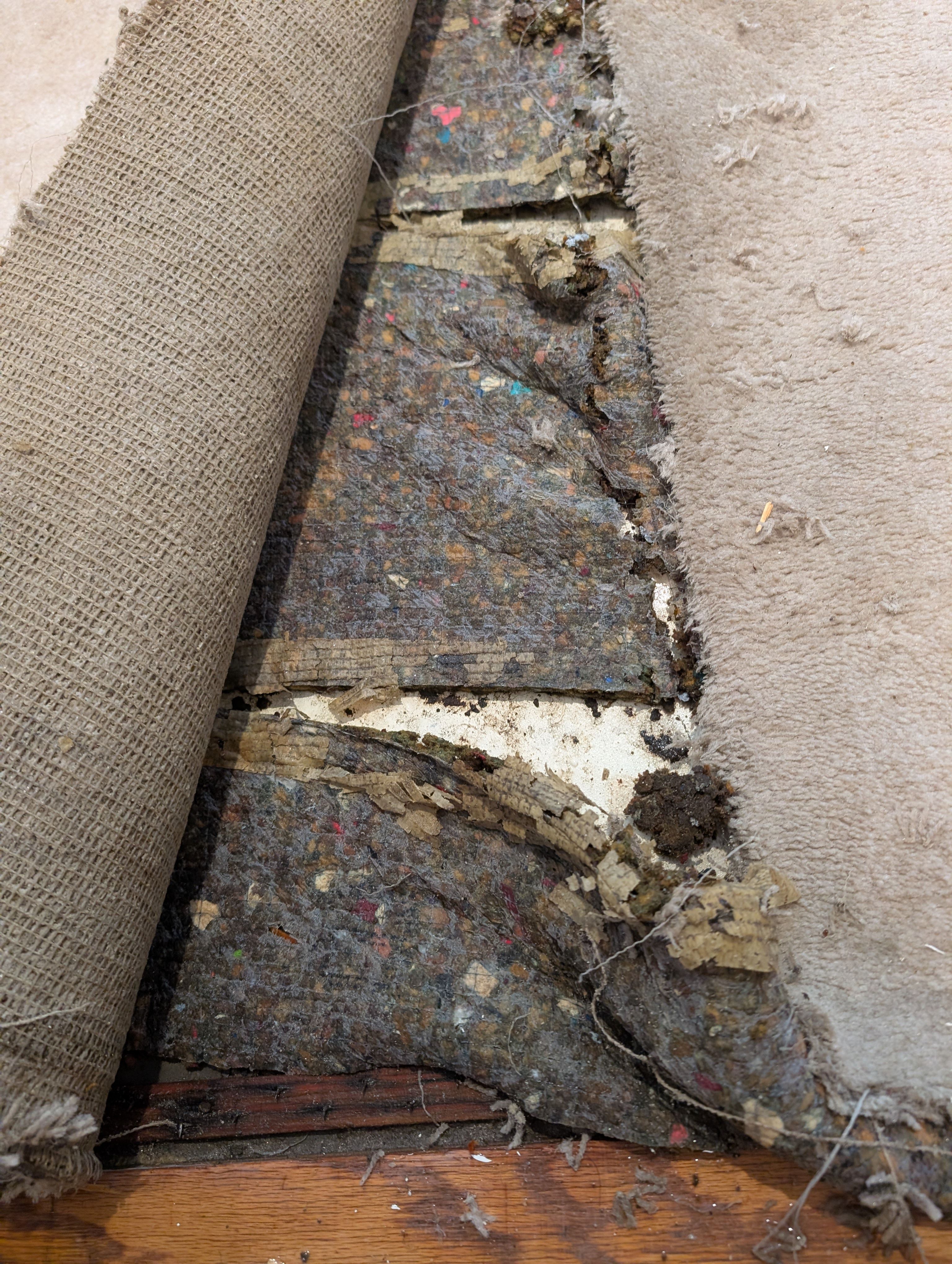 All Photos for Best Option Restoration of Denton in Denton, TX