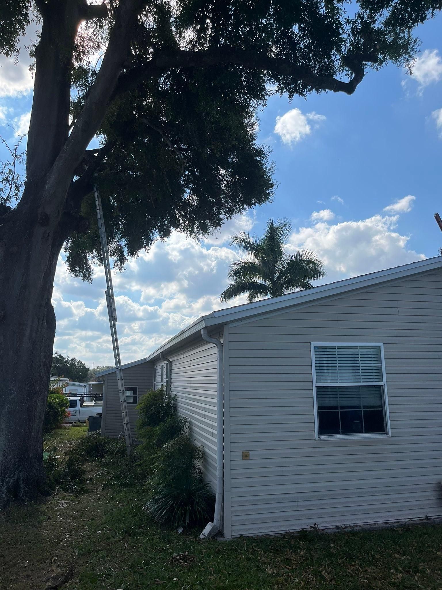  for Bills Tree Service in Valrico, FL